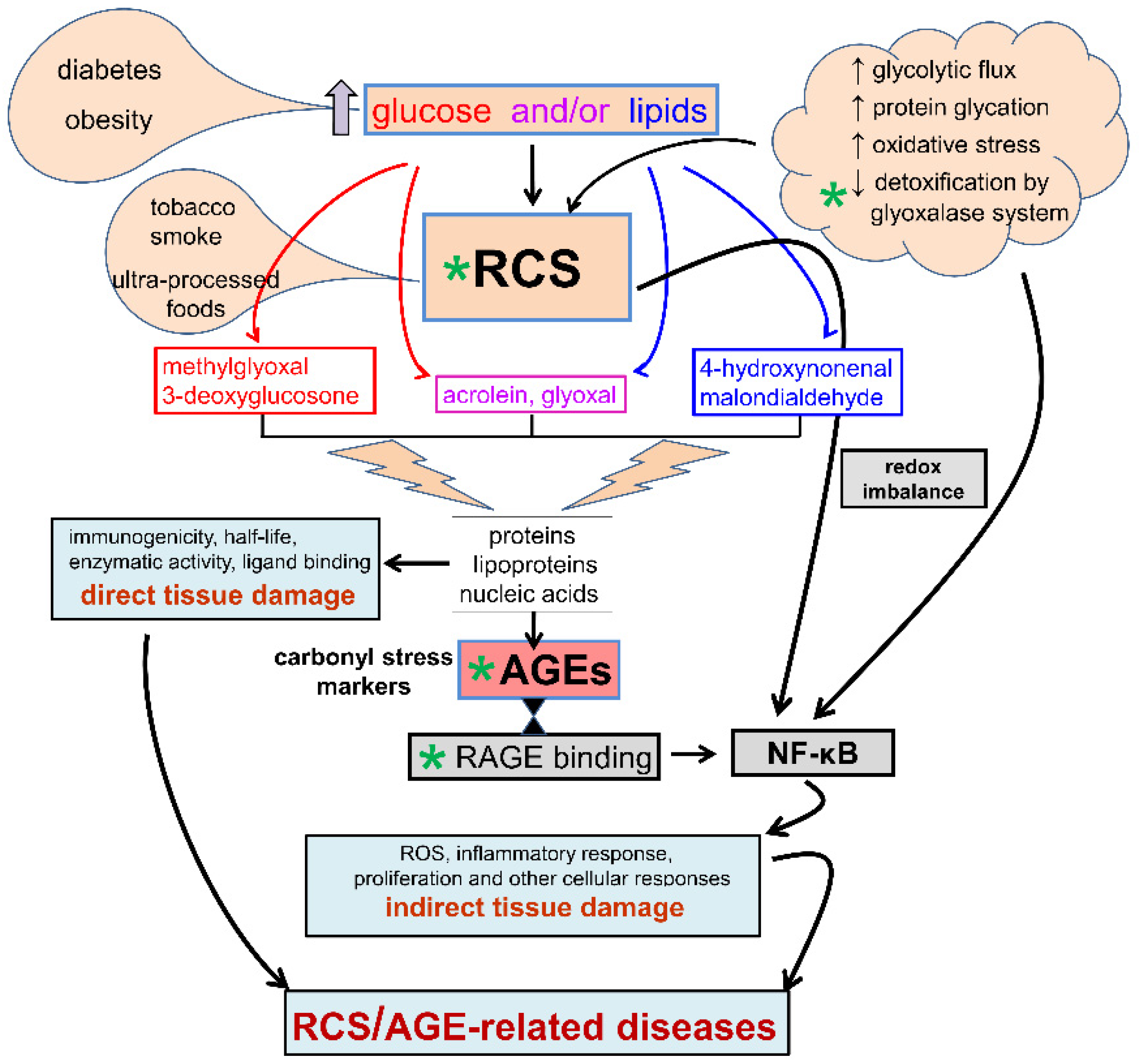 Cancers 13 00313 g002
