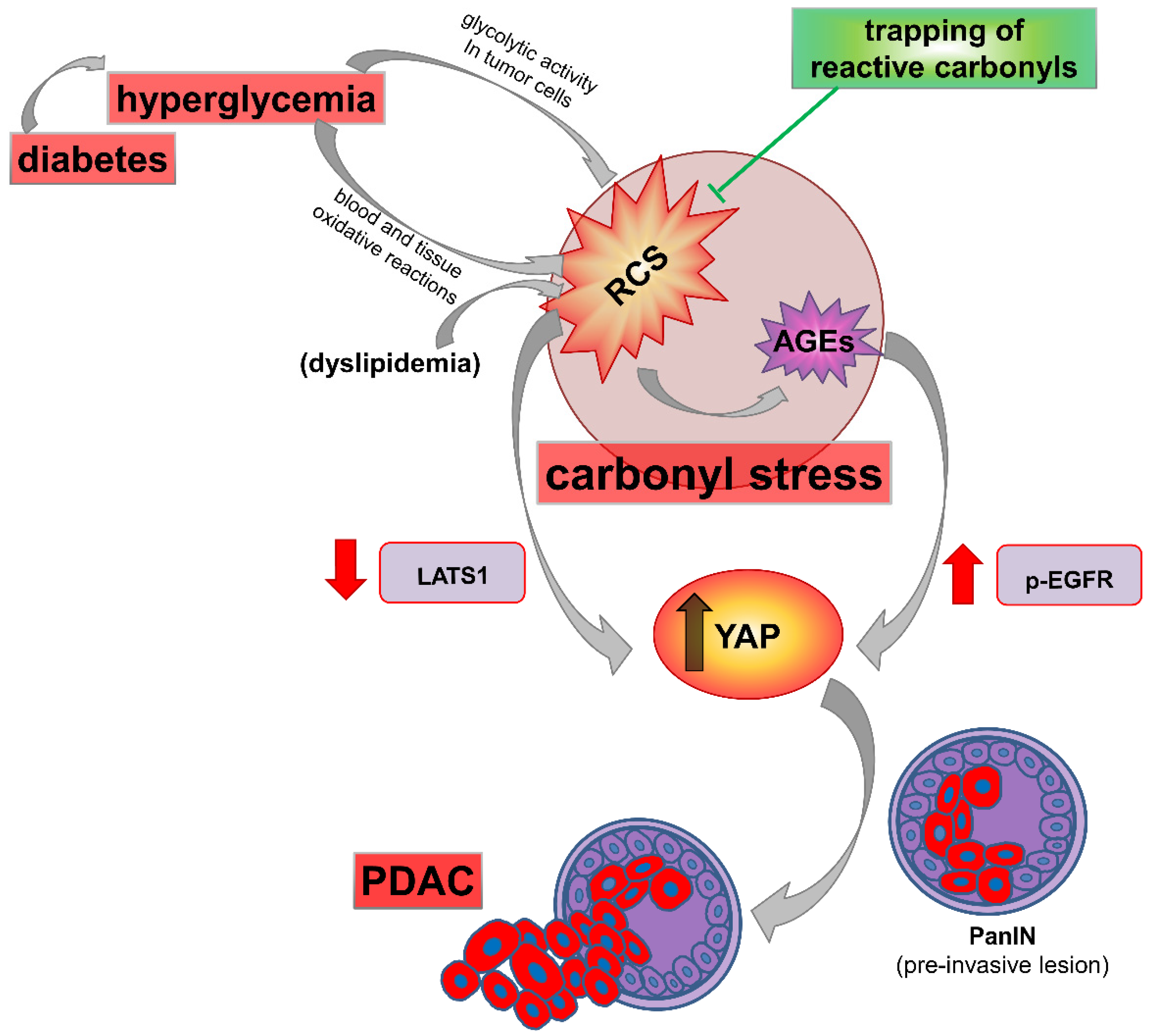 Cancers 13 00313 g006