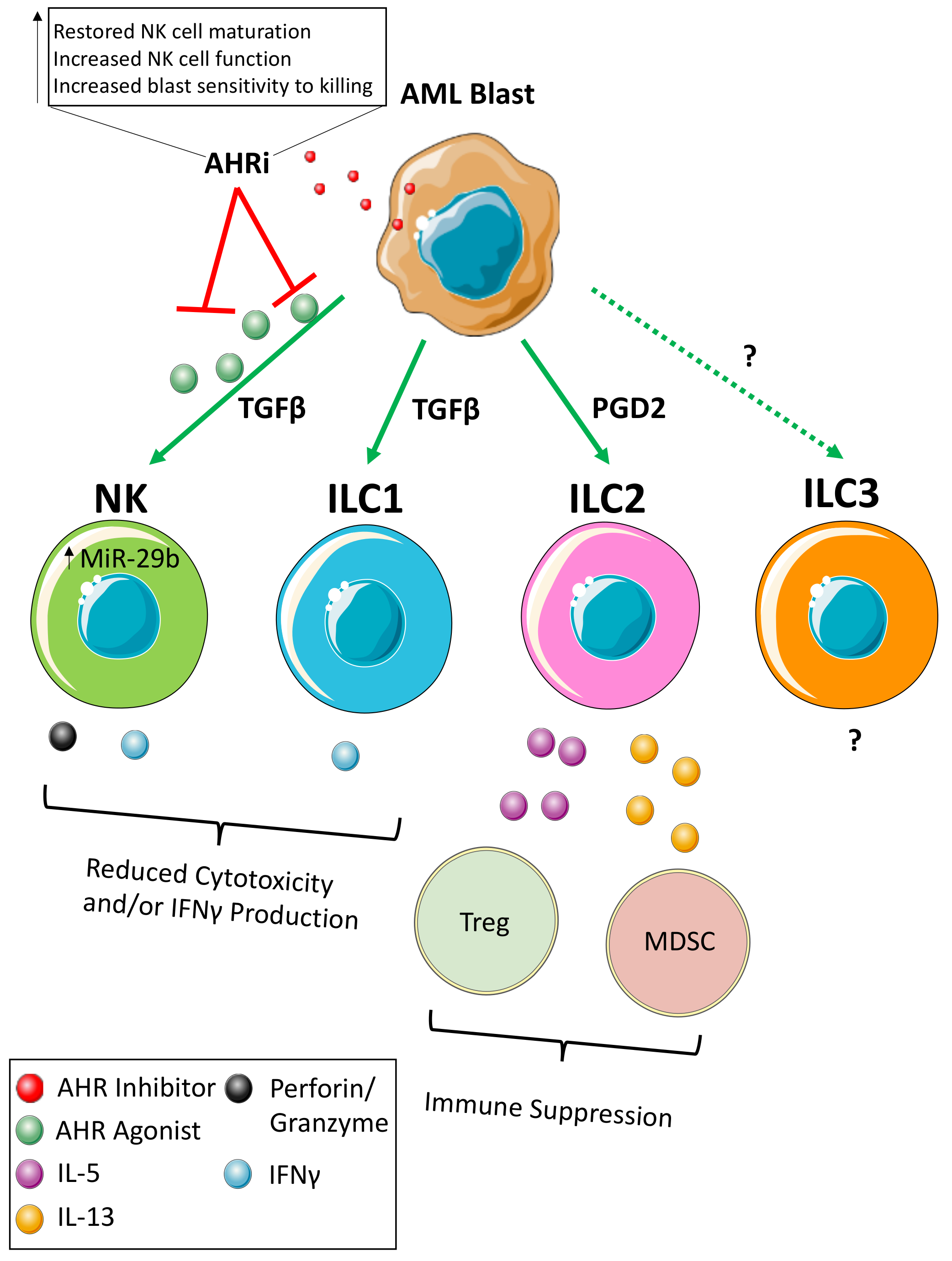 Cancers 13 00320 g001 Cancers 13 00320 g001