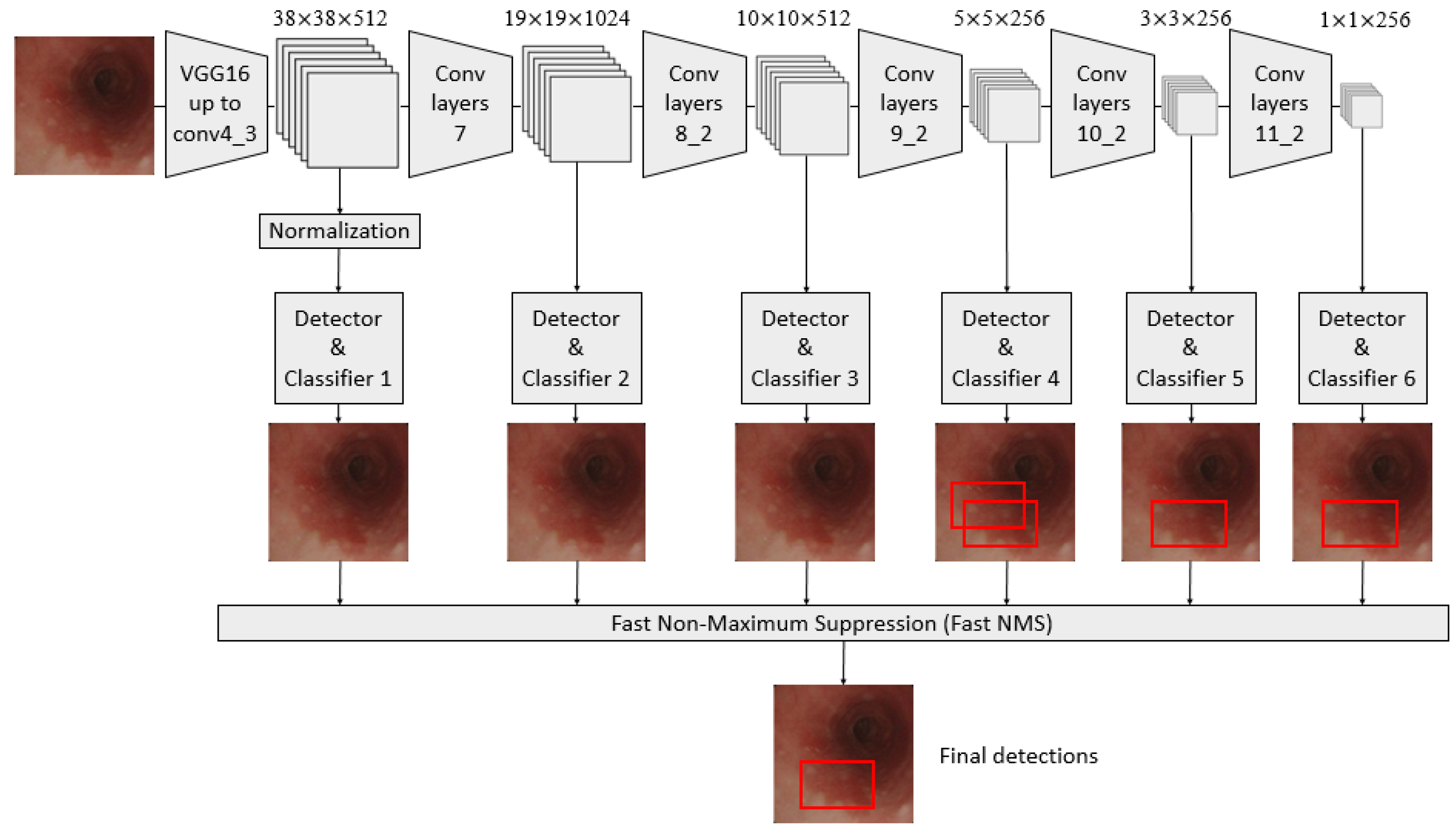 Cancers 13 00321 g001