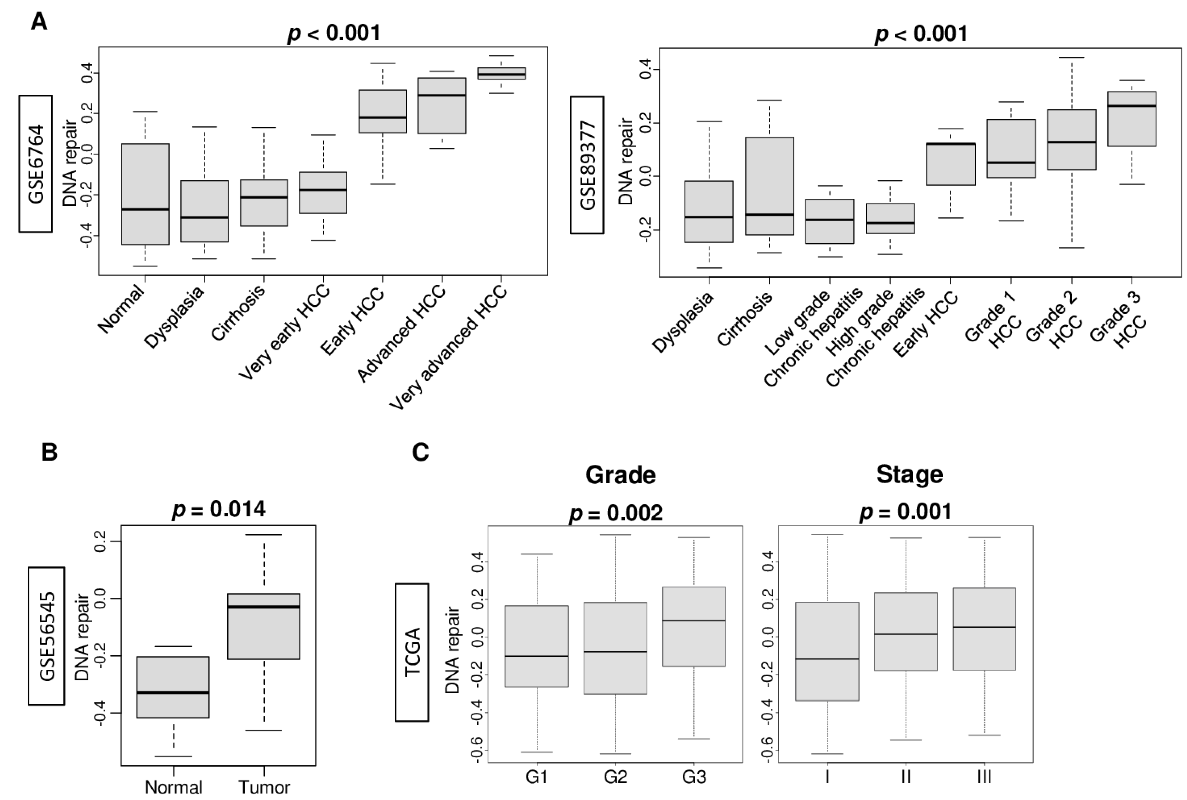Cancers 13 00323 g001