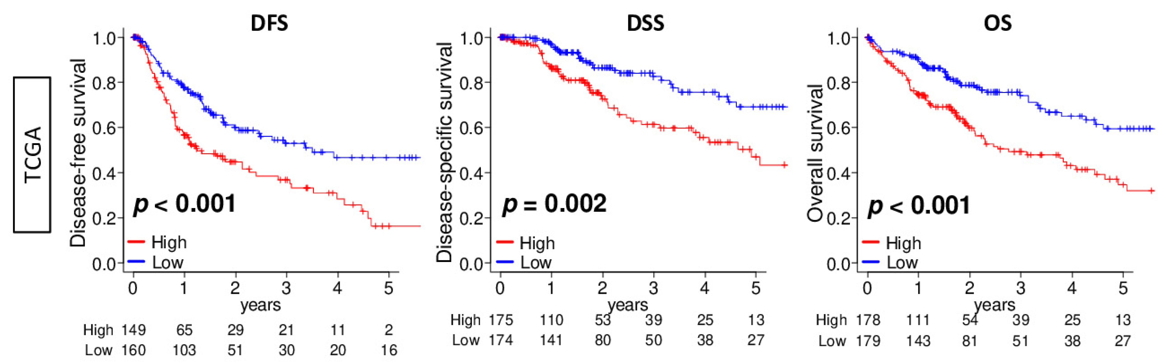 Cancers 13 00323 g002