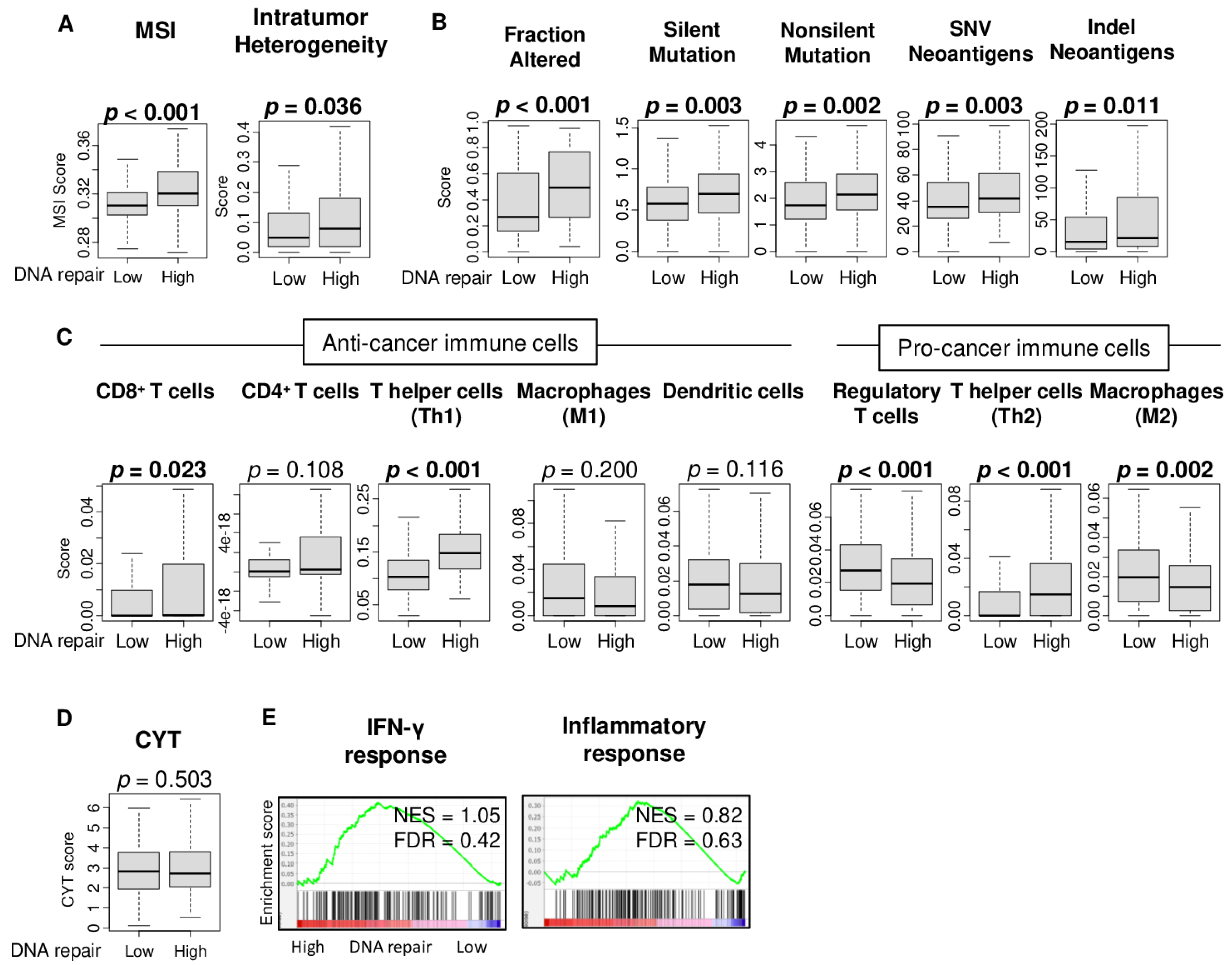 Cancers 13 00323 g003