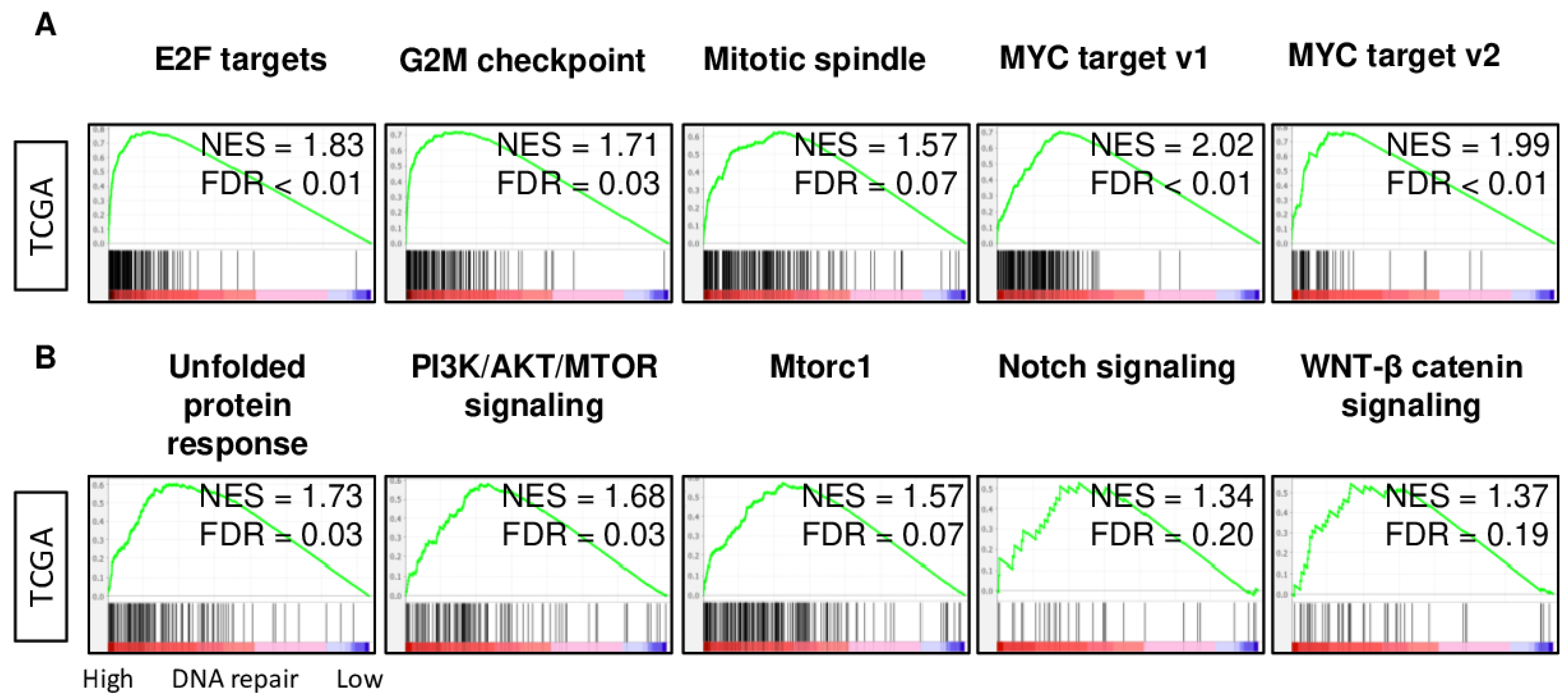 Cancers 13 00323 g004