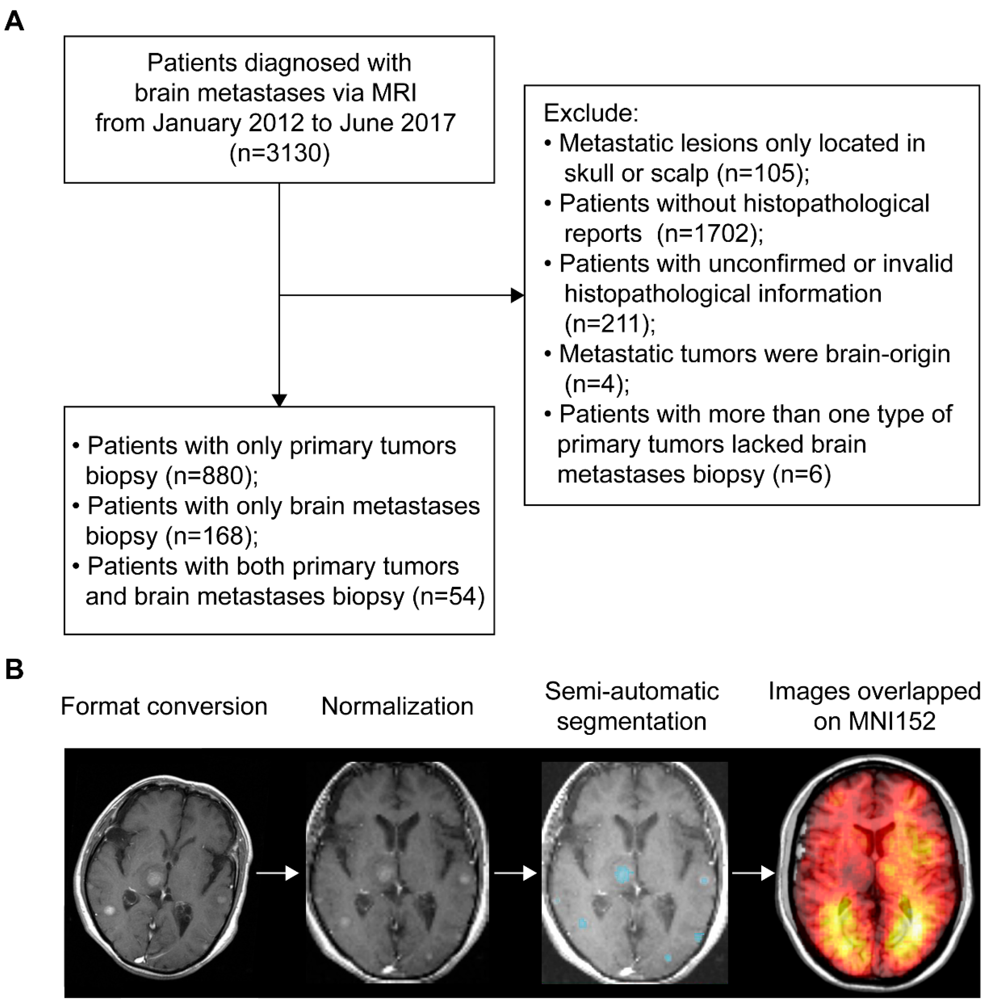 Cancers 13 00324 g001