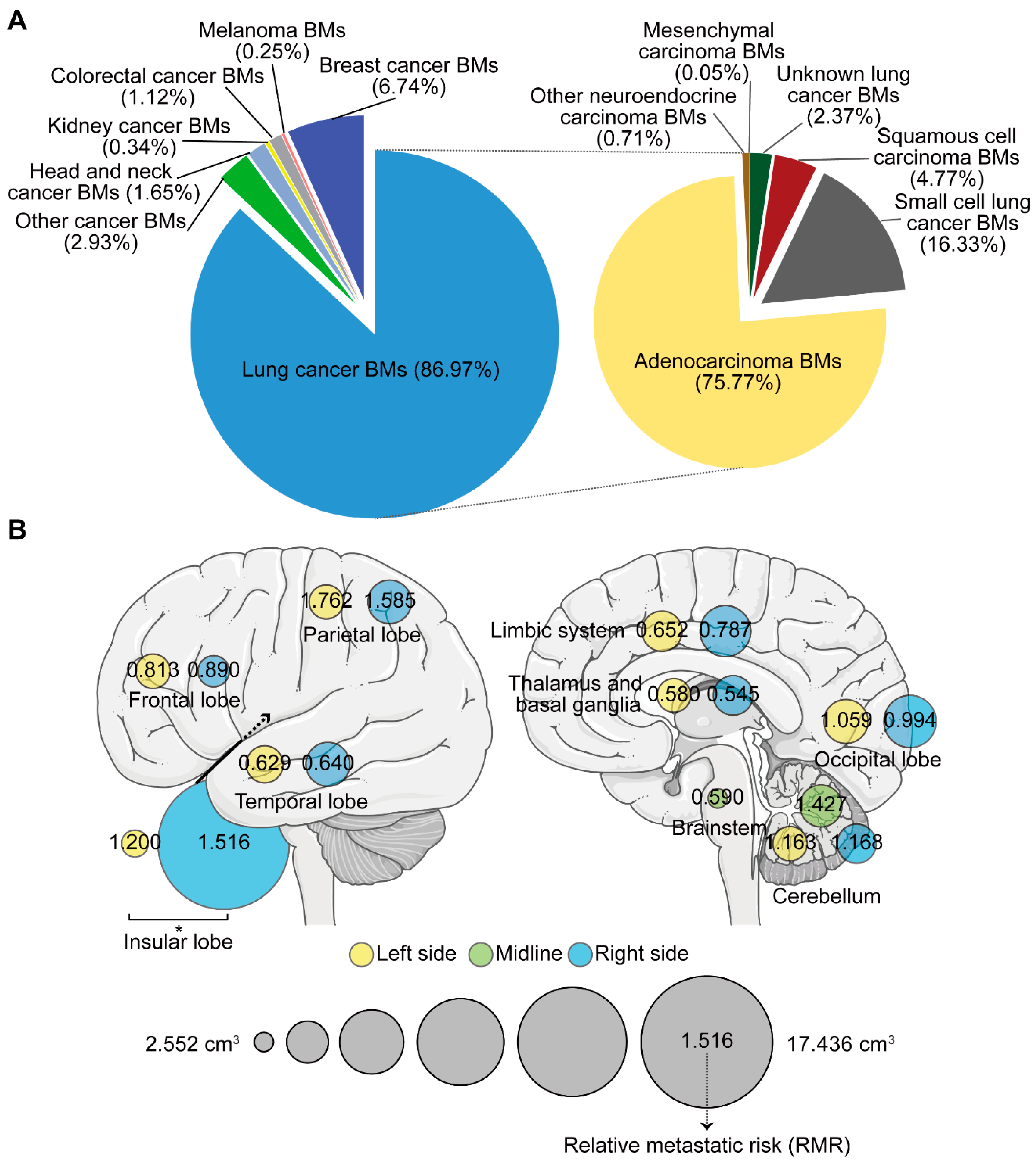 Cancers 13 00324 g002