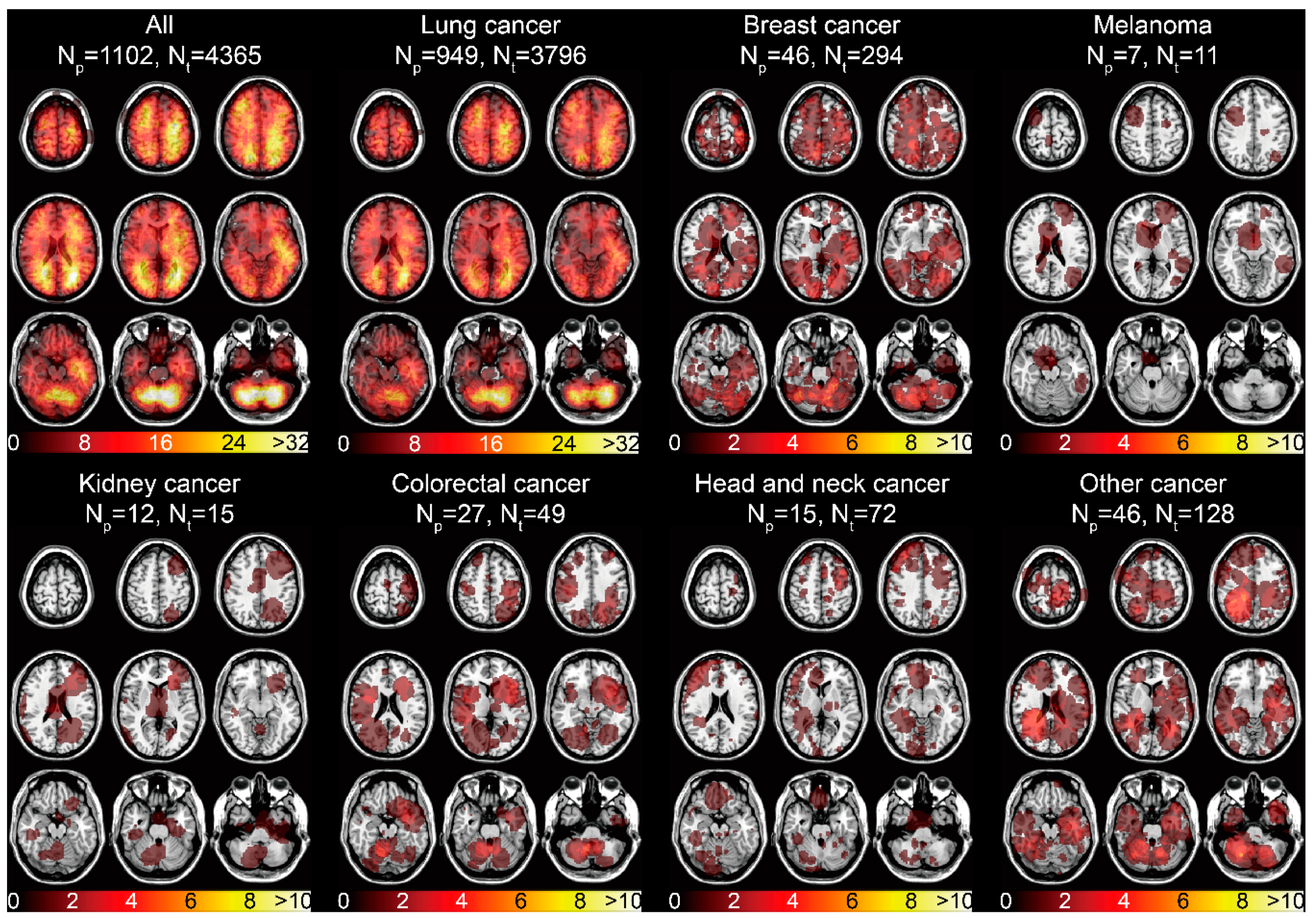 Cancers 13 00324 g003