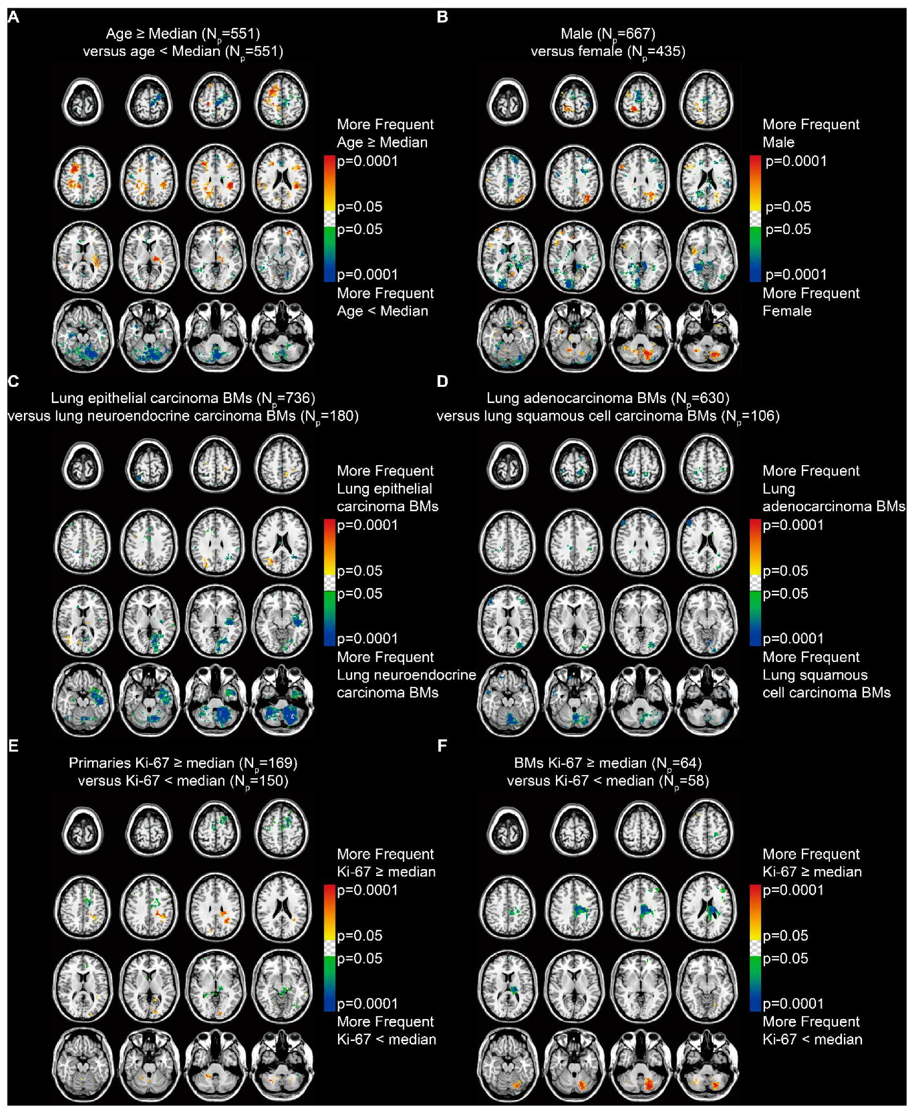 Cancers 13 00324 g004