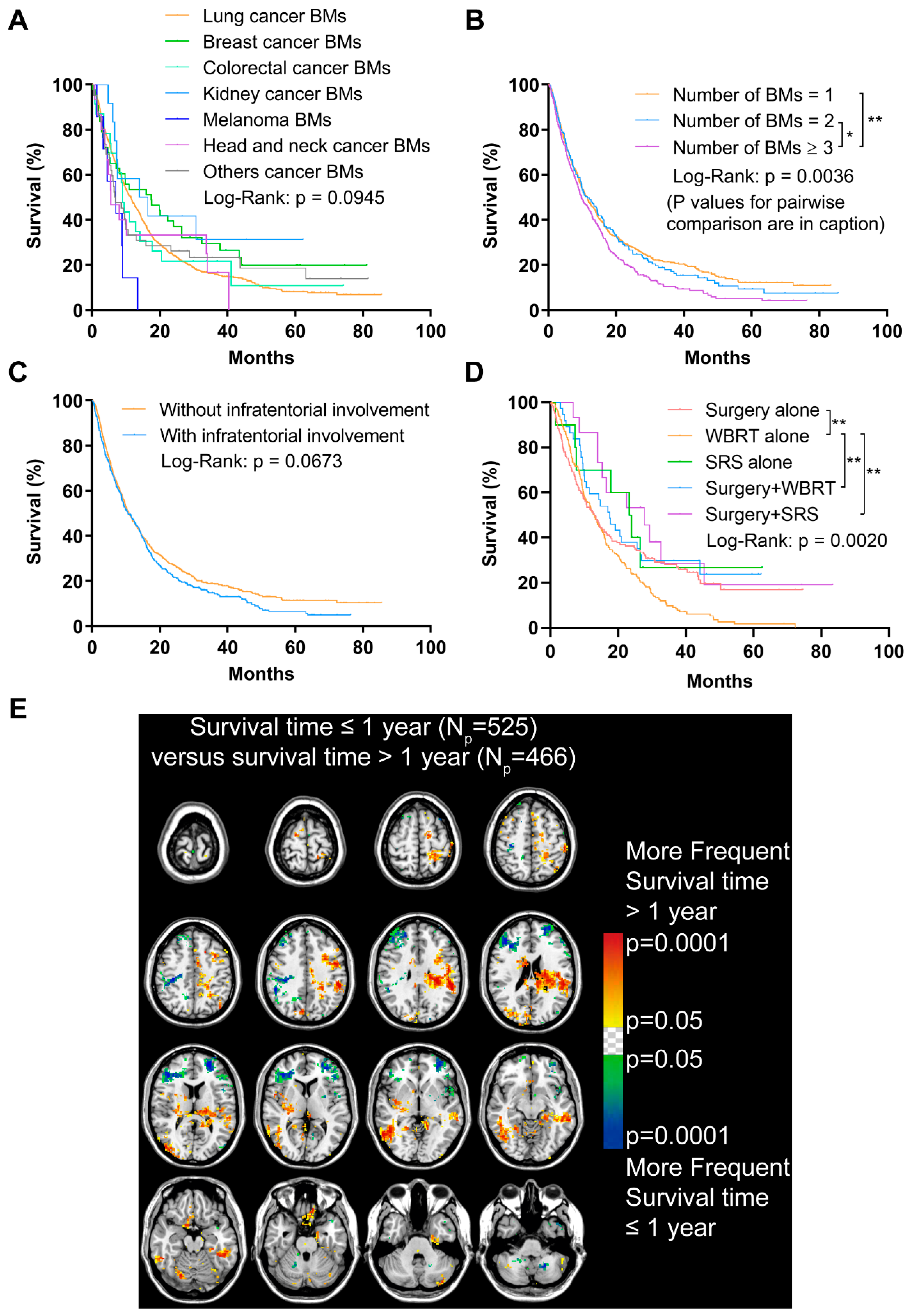 Cancers 13 00324 g005