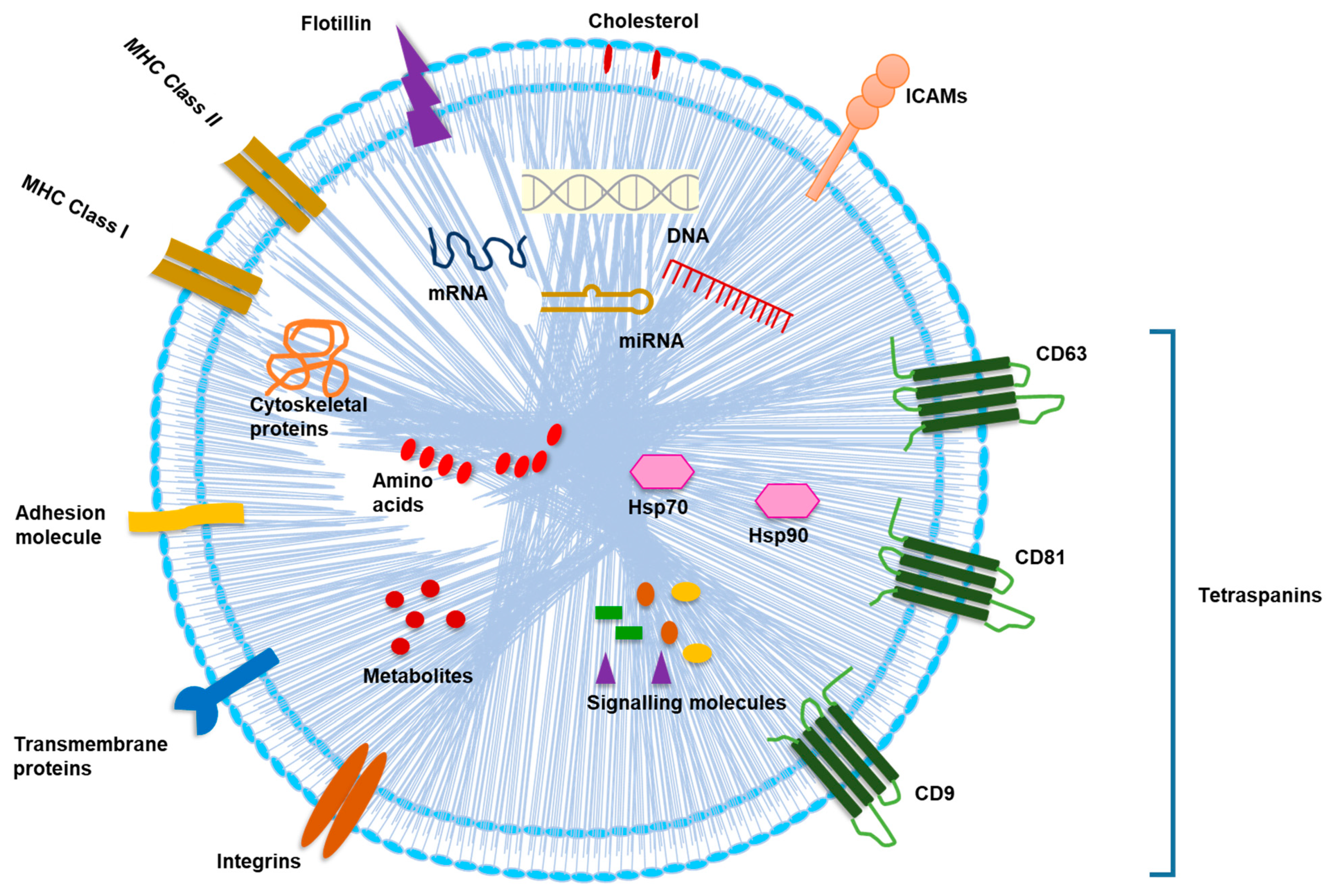 Cancers 13 00326 g001