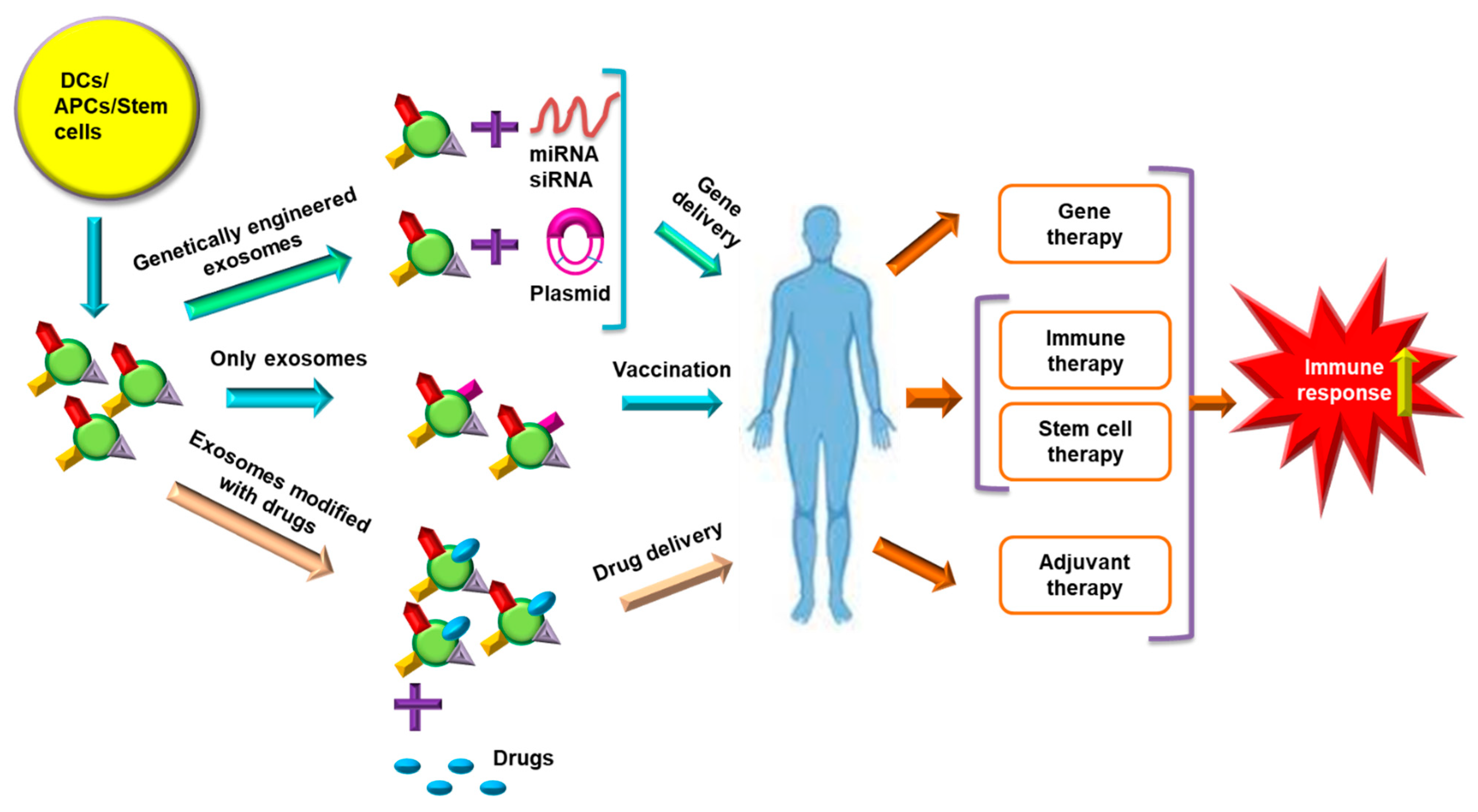 Cancers 13 00326 g004