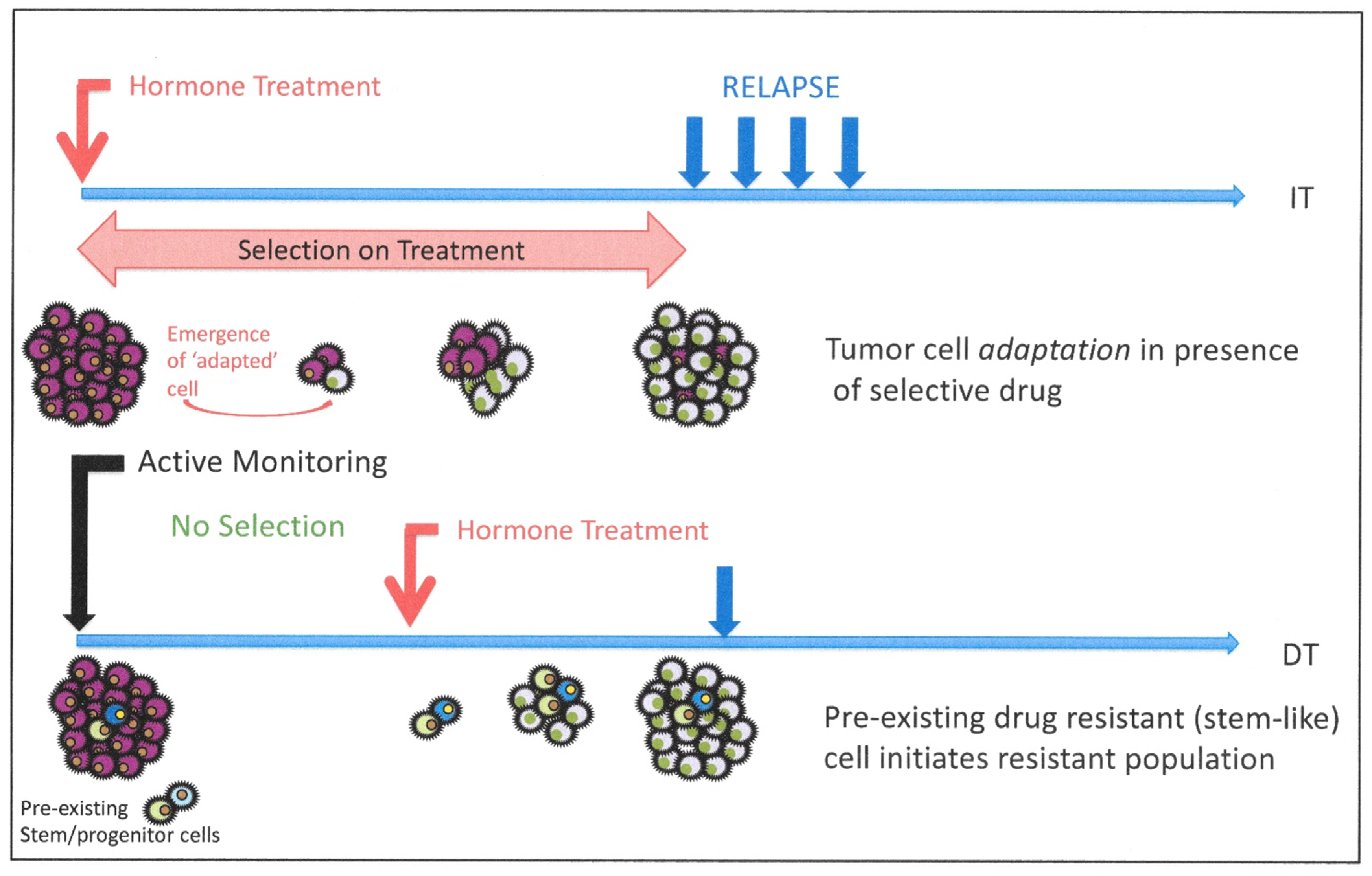 Cancers 13 00327 g008