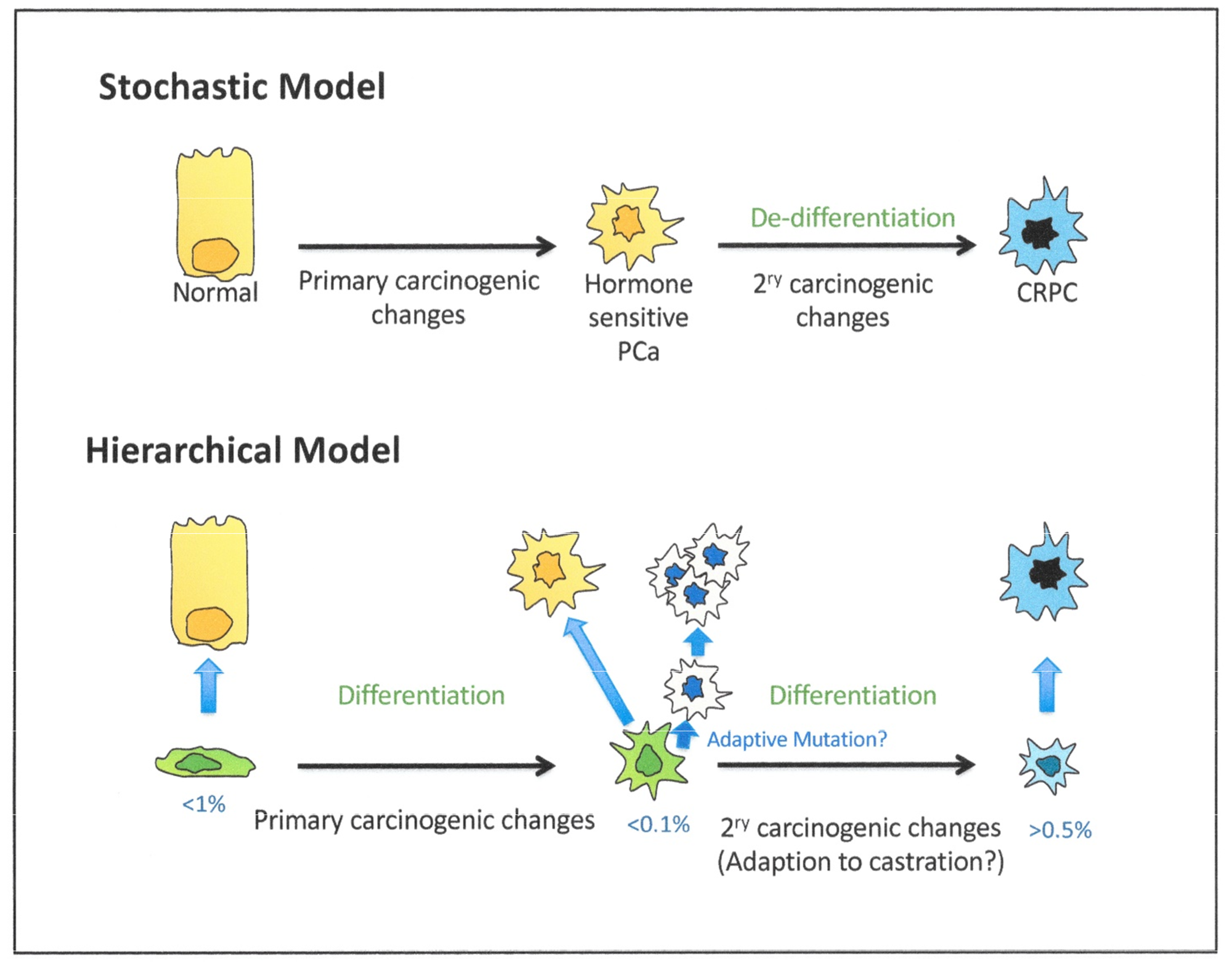 Cancers 13 00327 g009