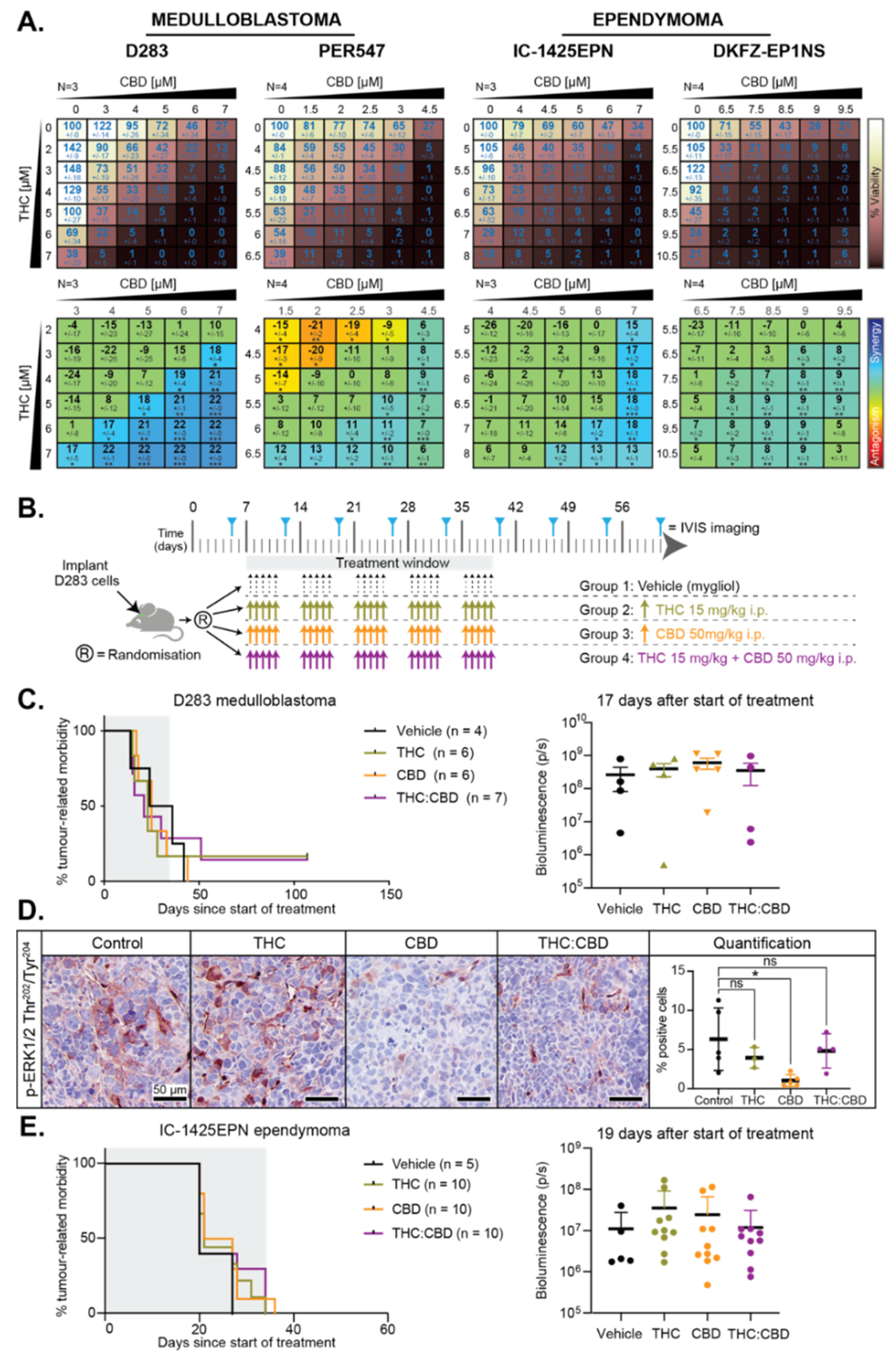 Cancers 13 00330 g005