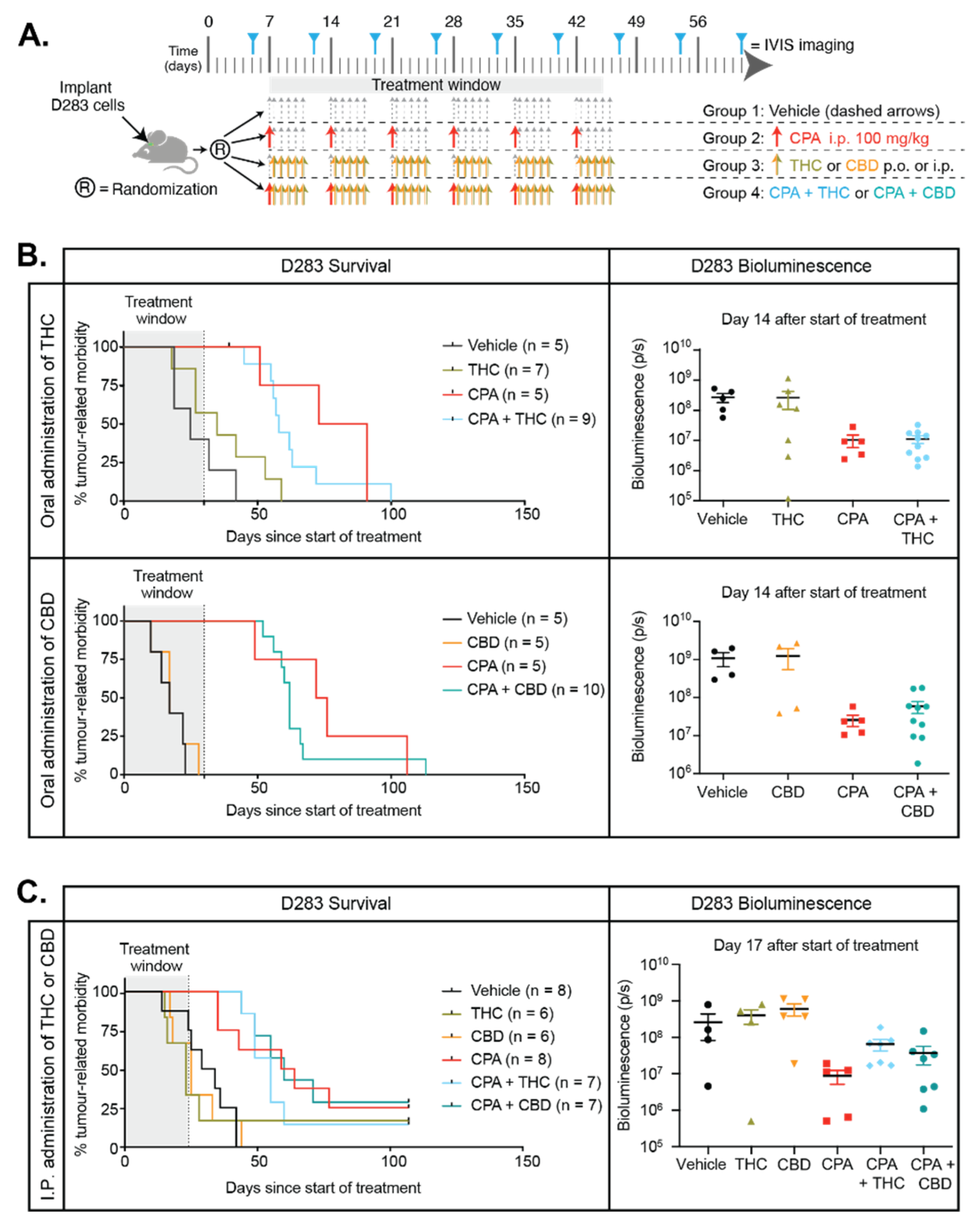 Cancers 13 00330 g008