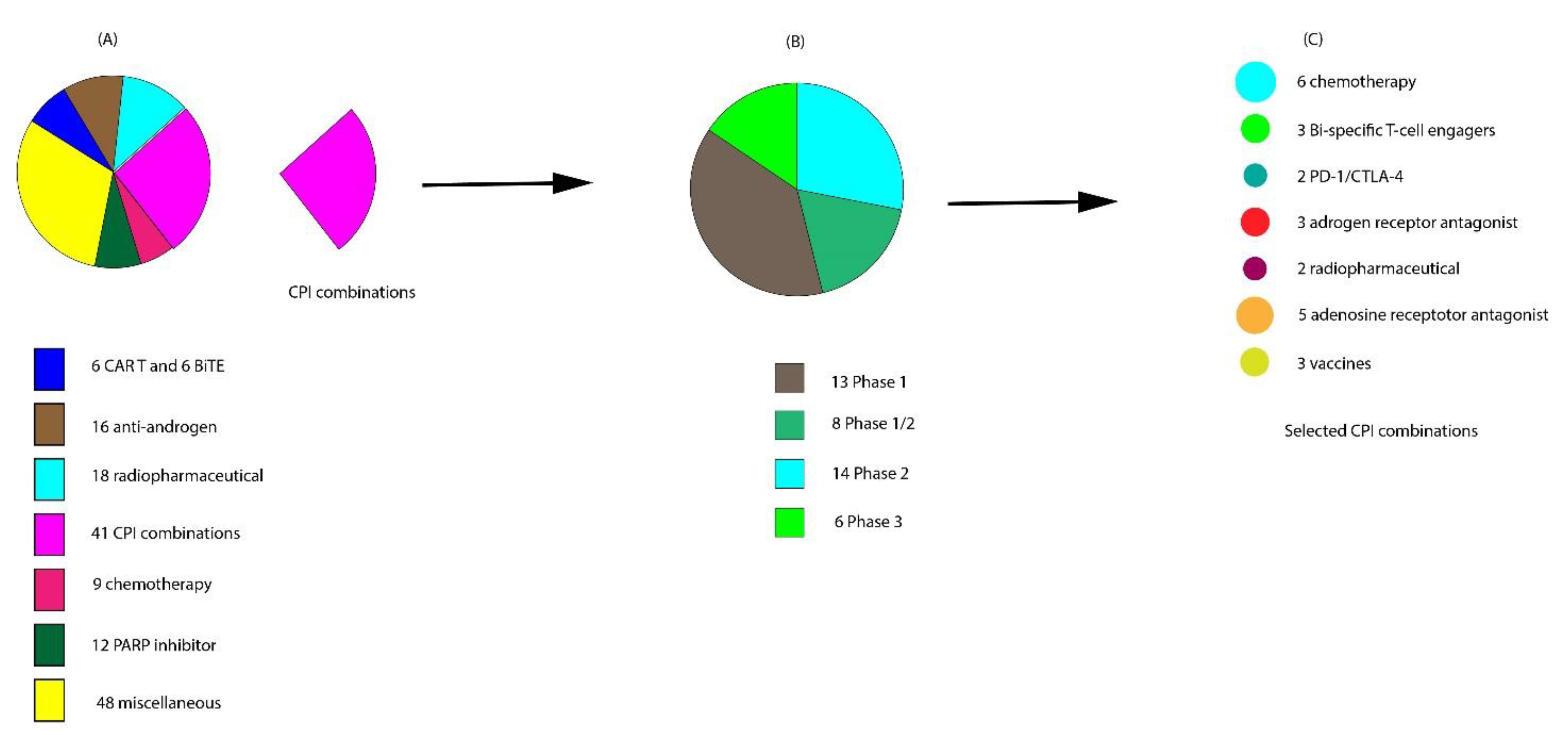 Cancers 13 00334 g003