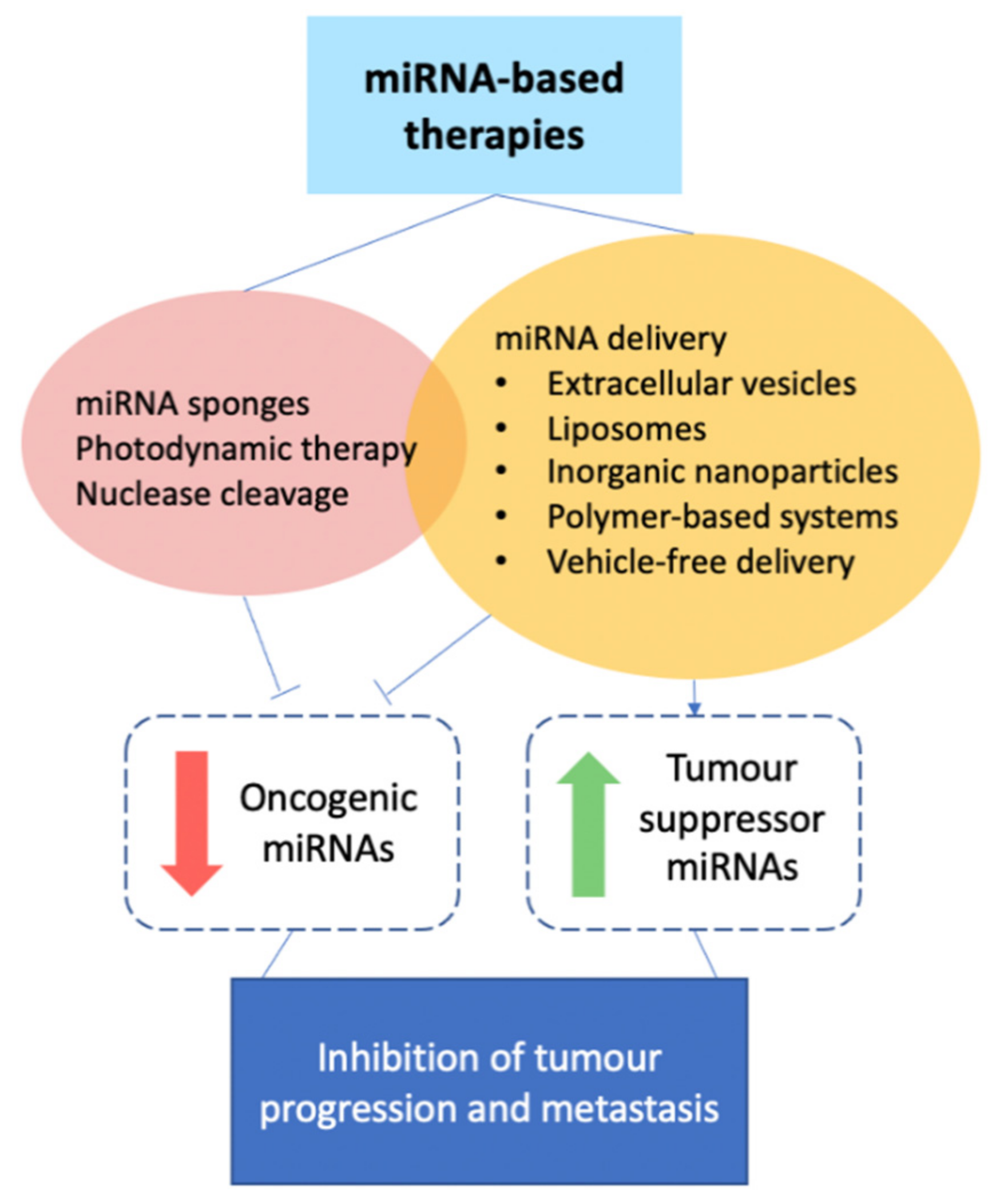Cancers 13 00337 g004