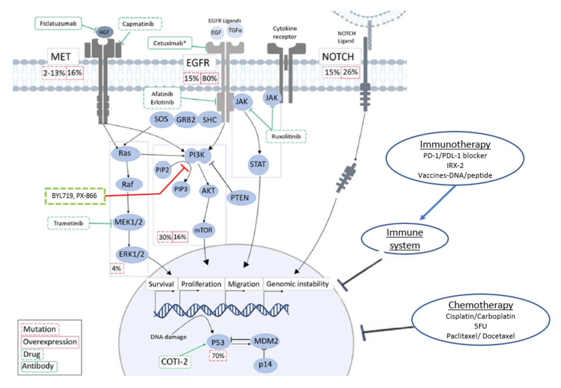 Cancers 13 00338 g001