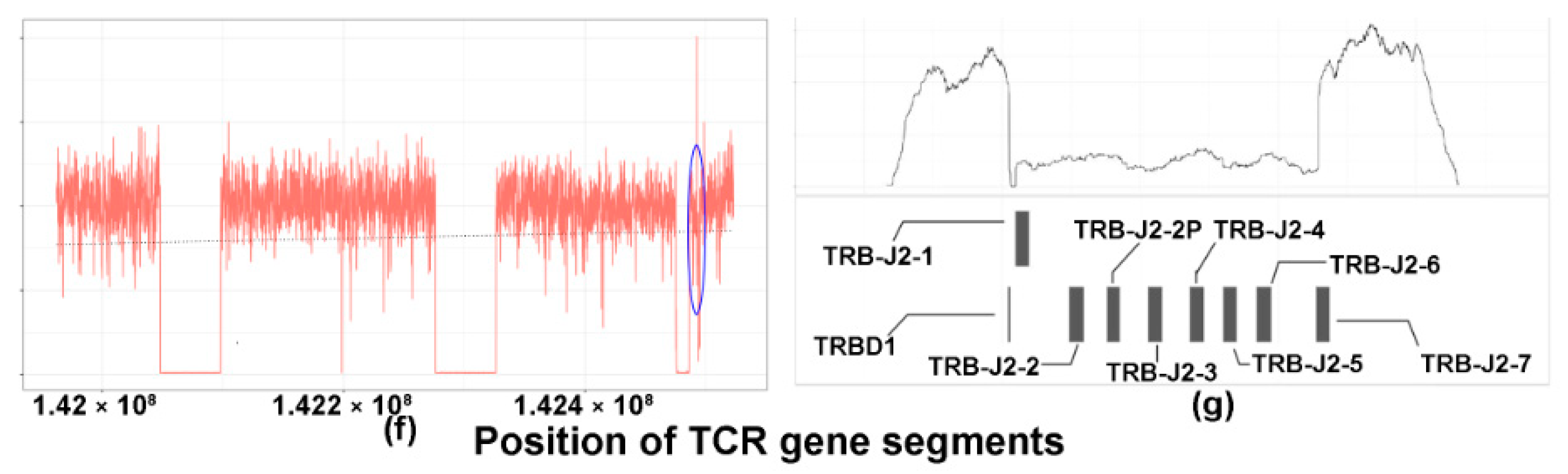 Cancers 13 00340 g003b