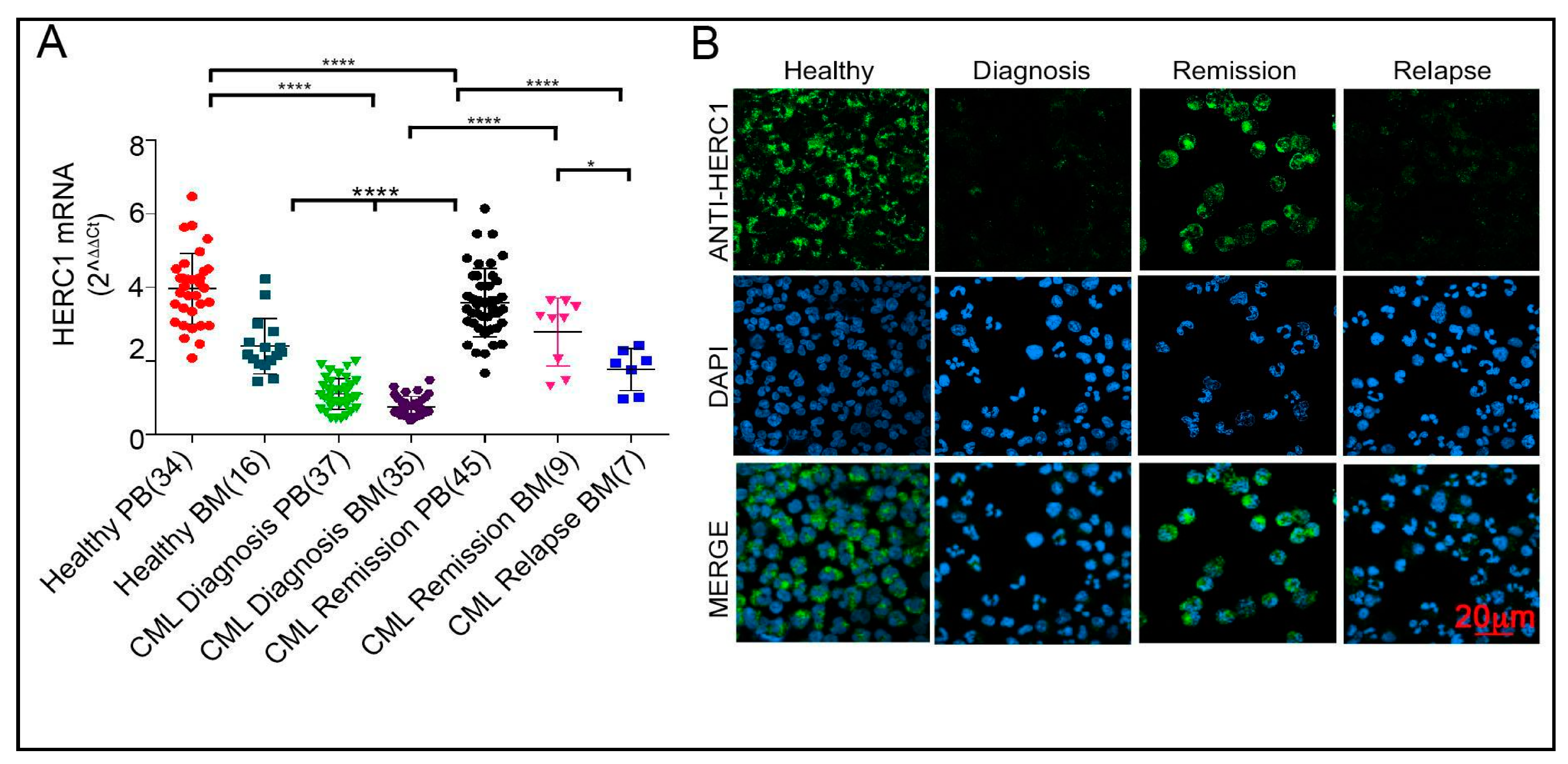 Cancers 13 00341 g004 Cancers 13 00341 g004