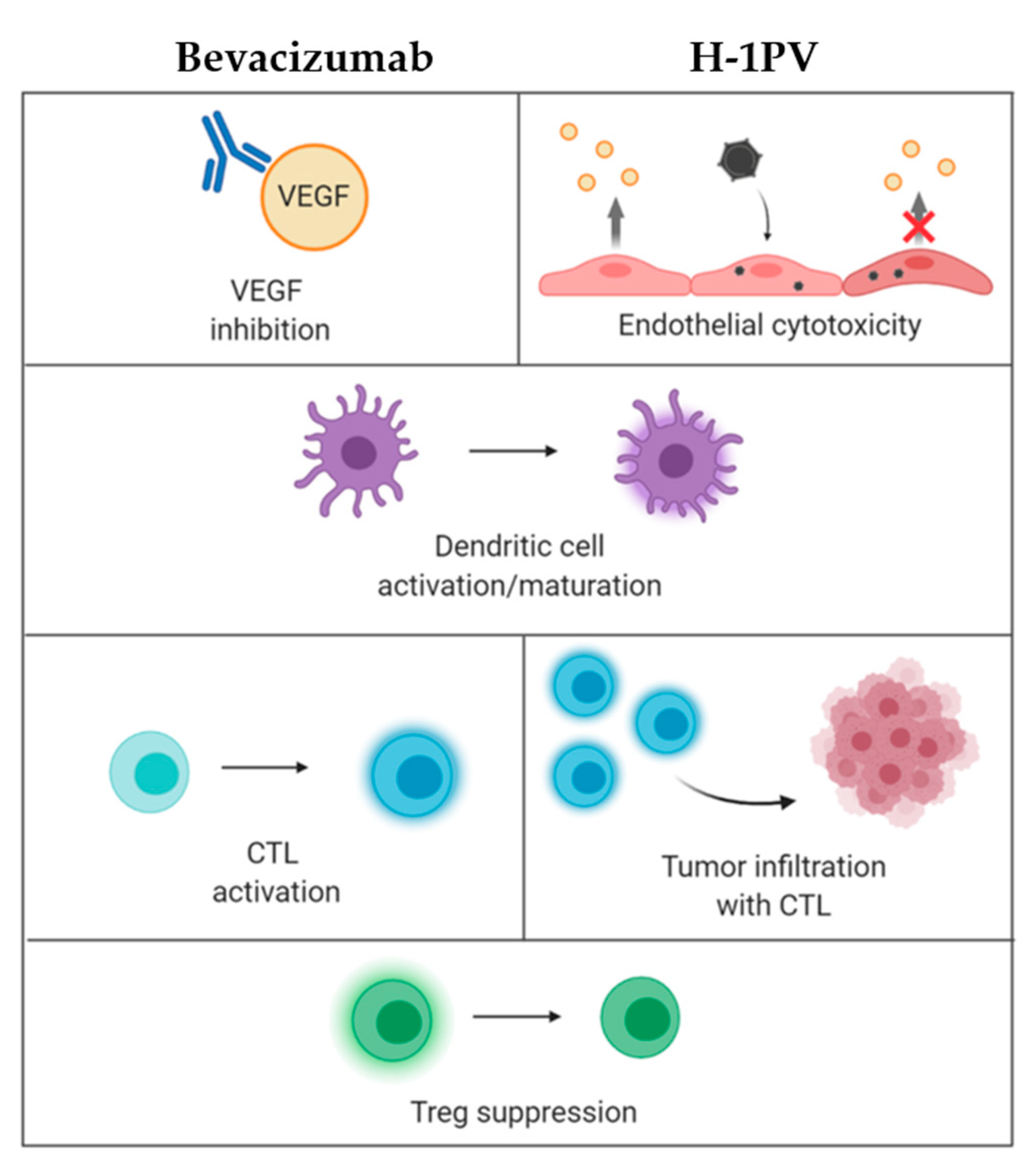 Cancers 13 00342 g003