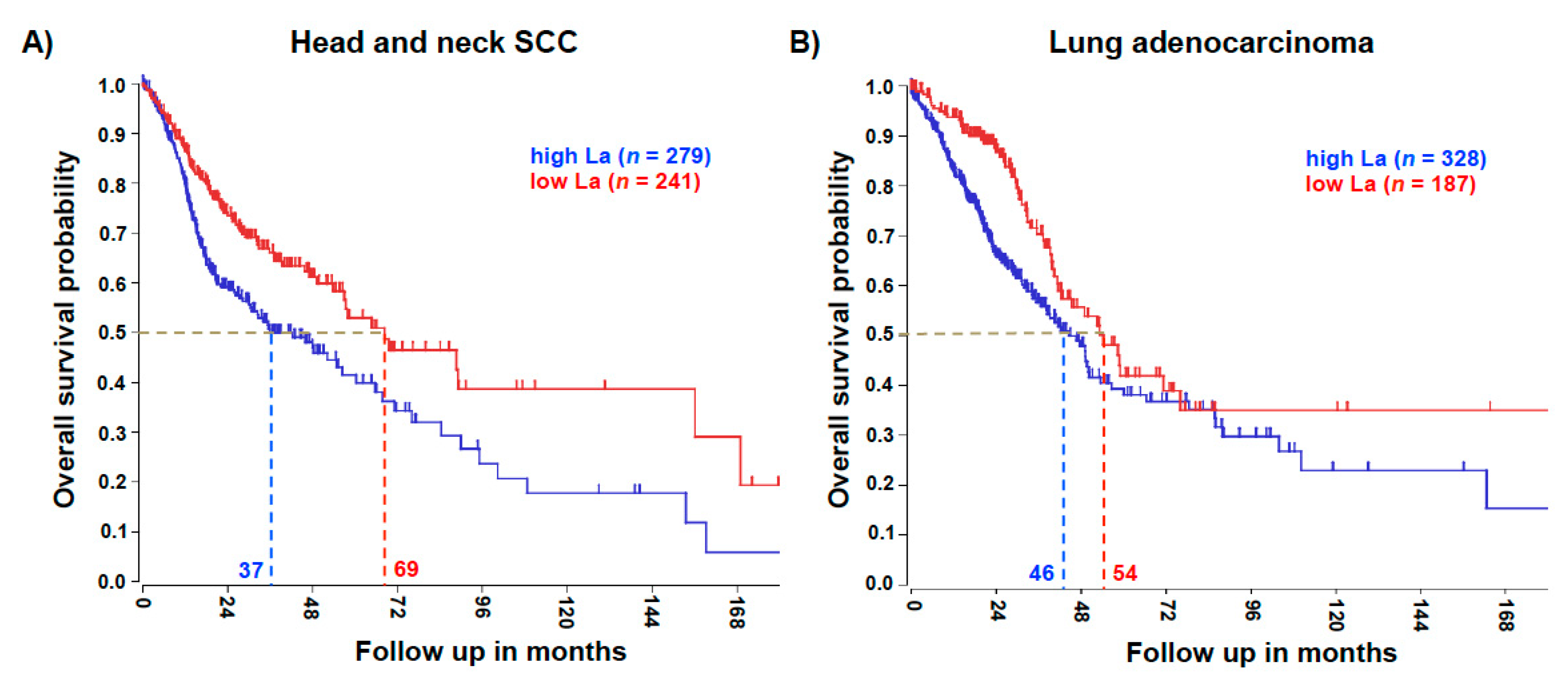 Cancers 13 00343 g002