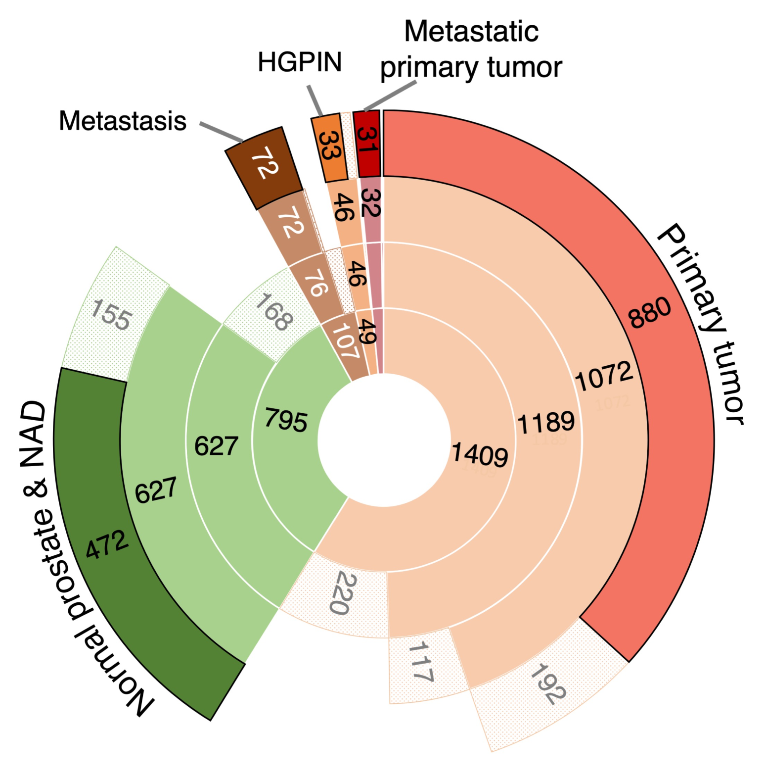 Cancers 13 00345 g001 Cancers 13 00345 g001