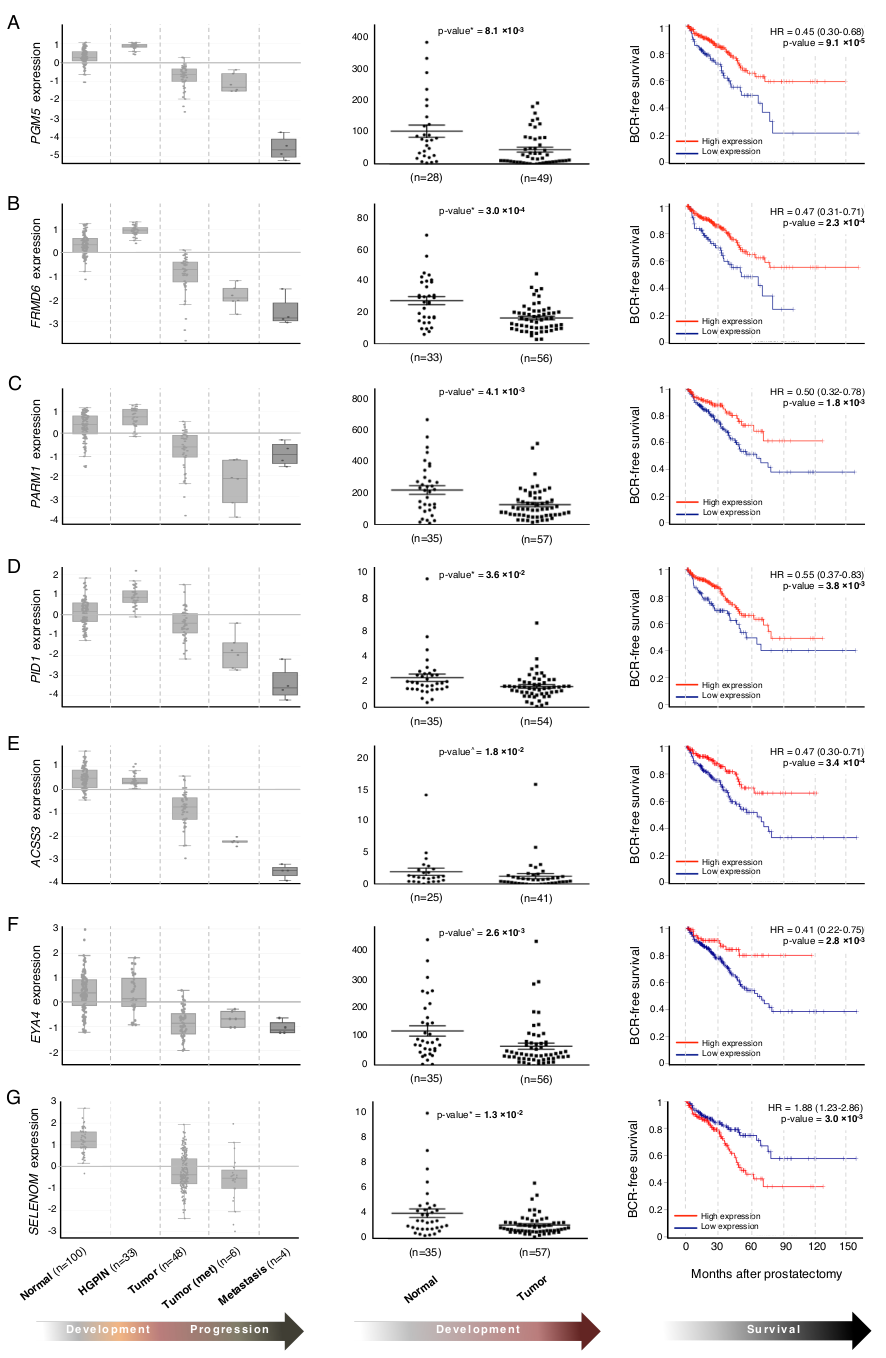 Cancers 13 00345 g004 Cancers 13 00345 g004
