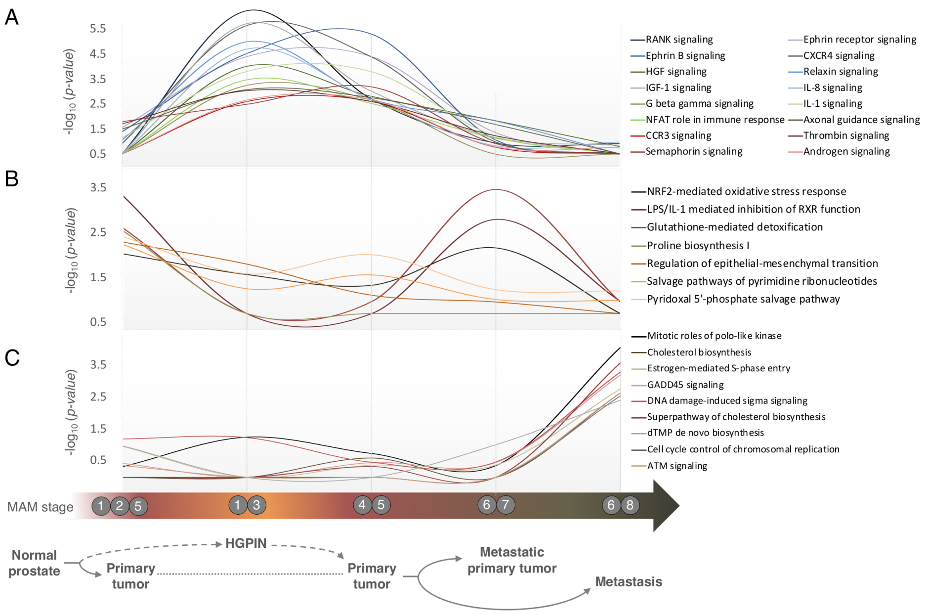 Cancers 13 00345 g005 Cancers 13 00345 g005
