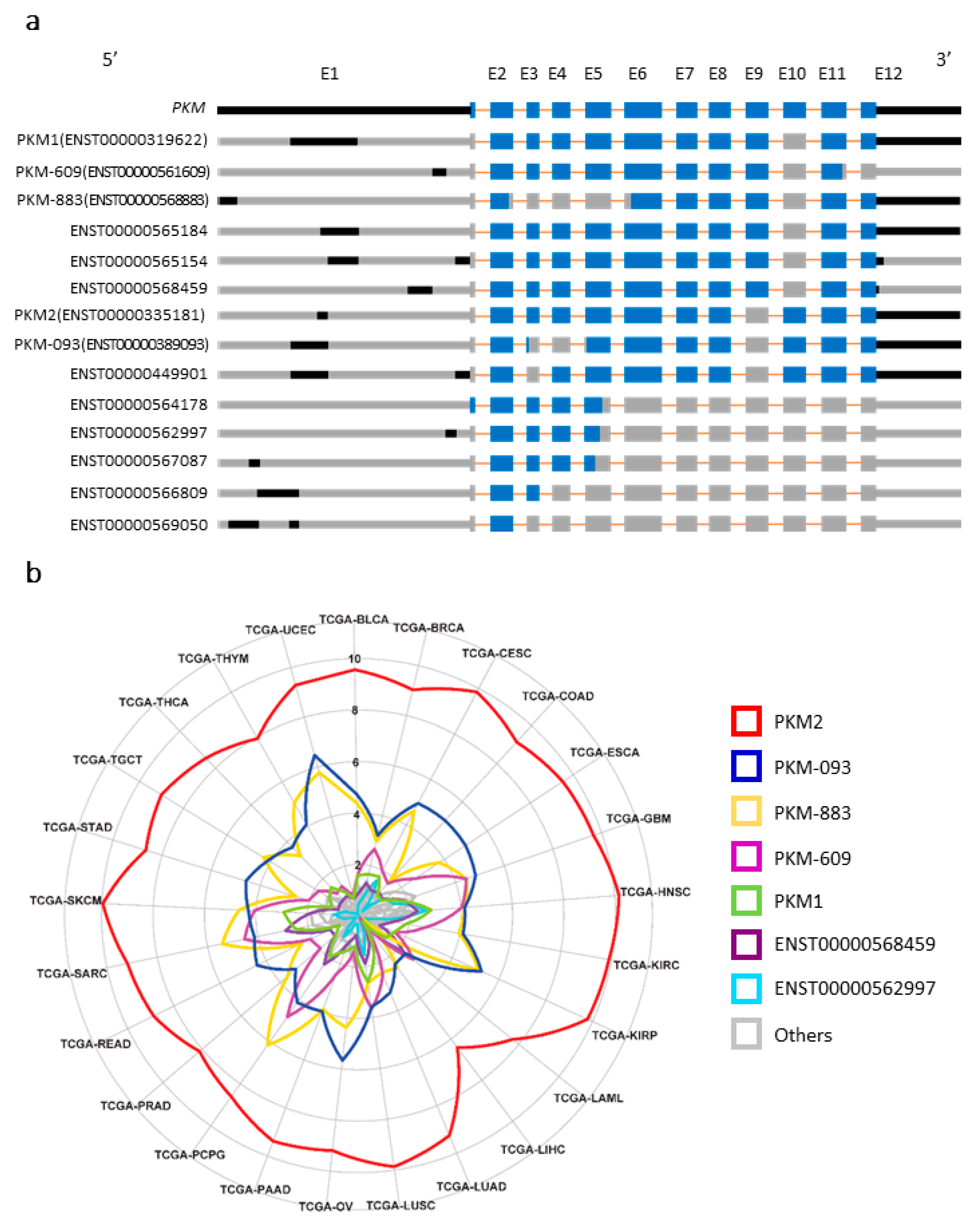 Cancers 13 00348 g001 Cancers 13 00348 g001