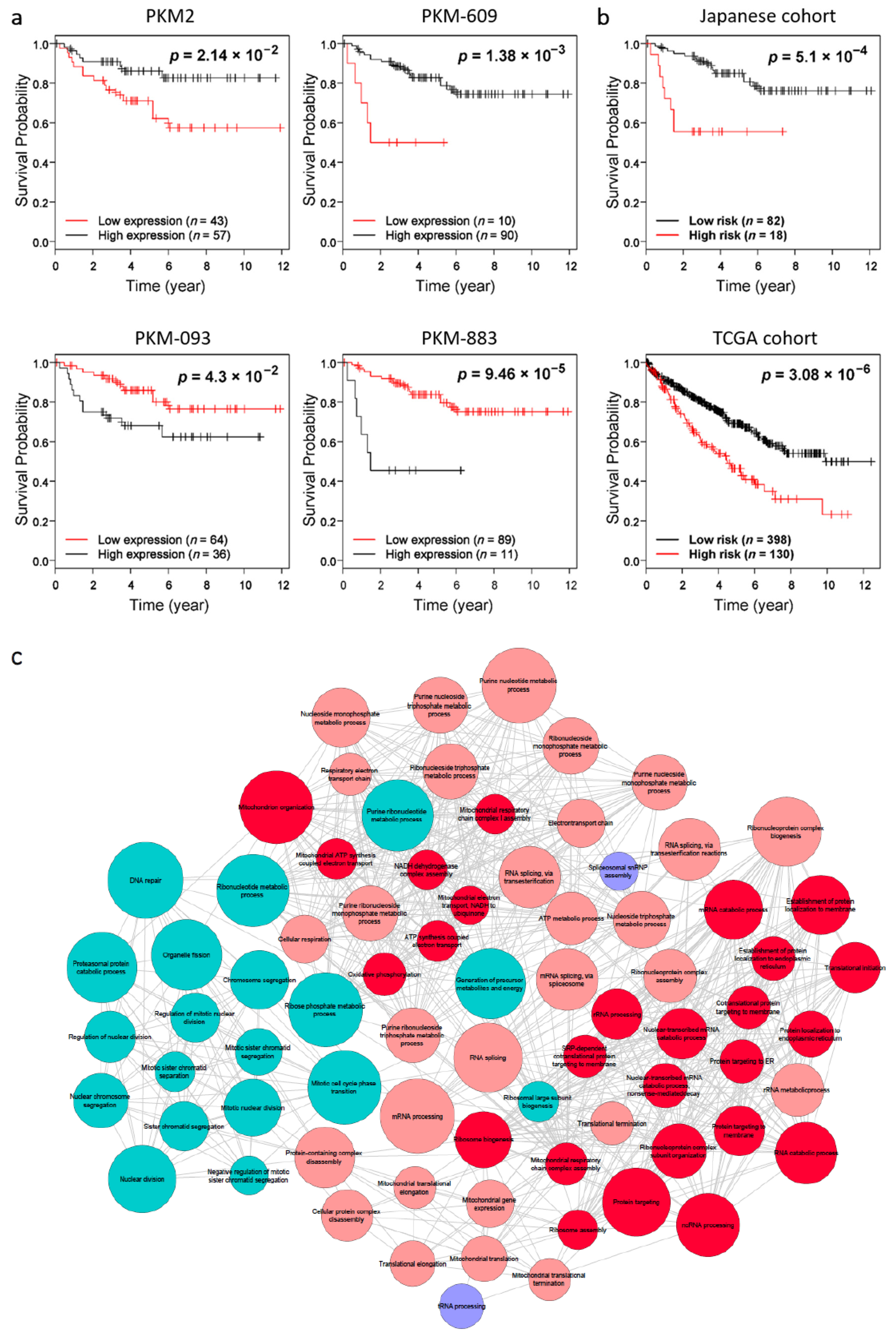 Cancers 13 00348 g003 Cancers 13 00348 g003