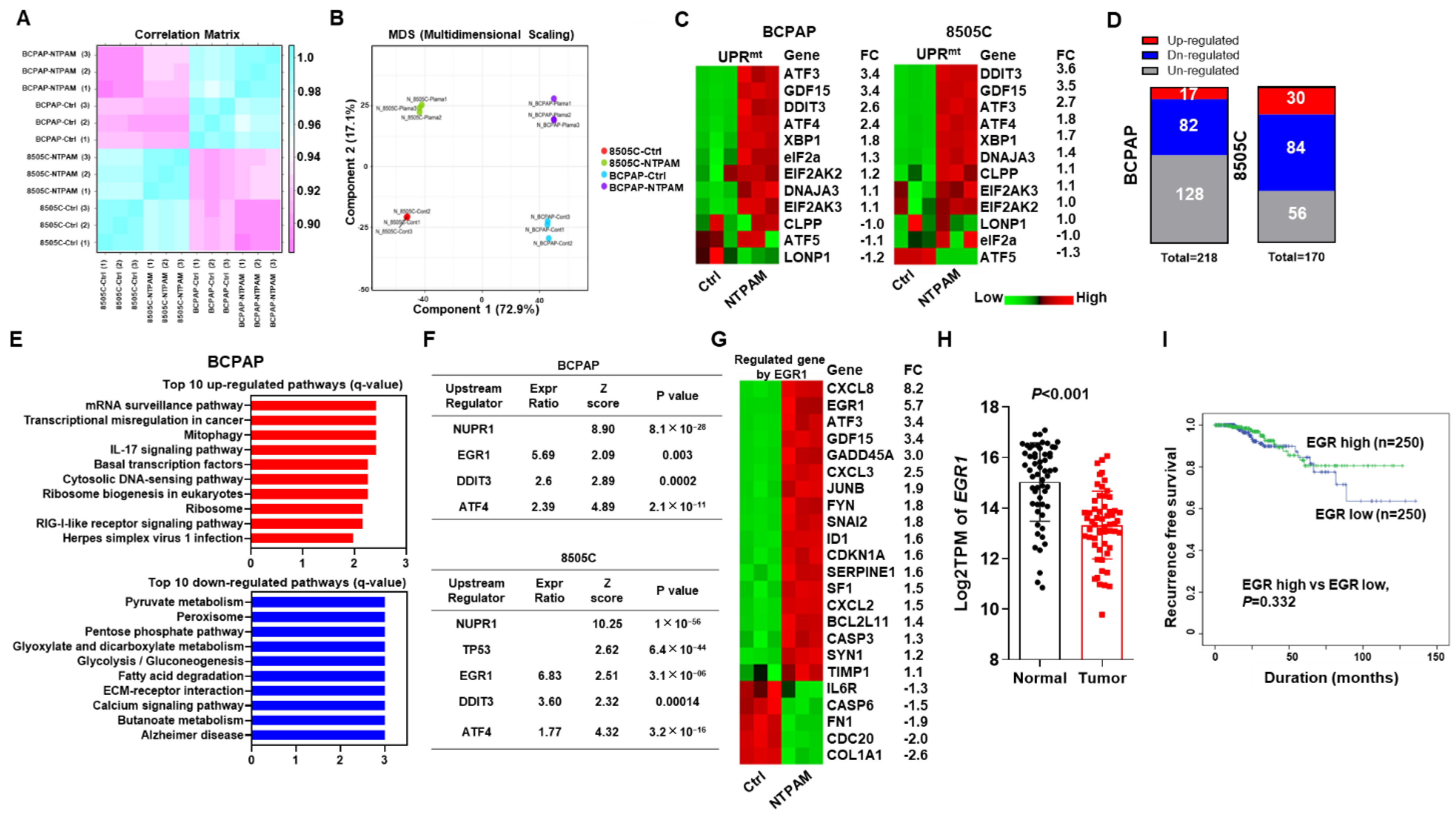 Cancers 13 00351 g003