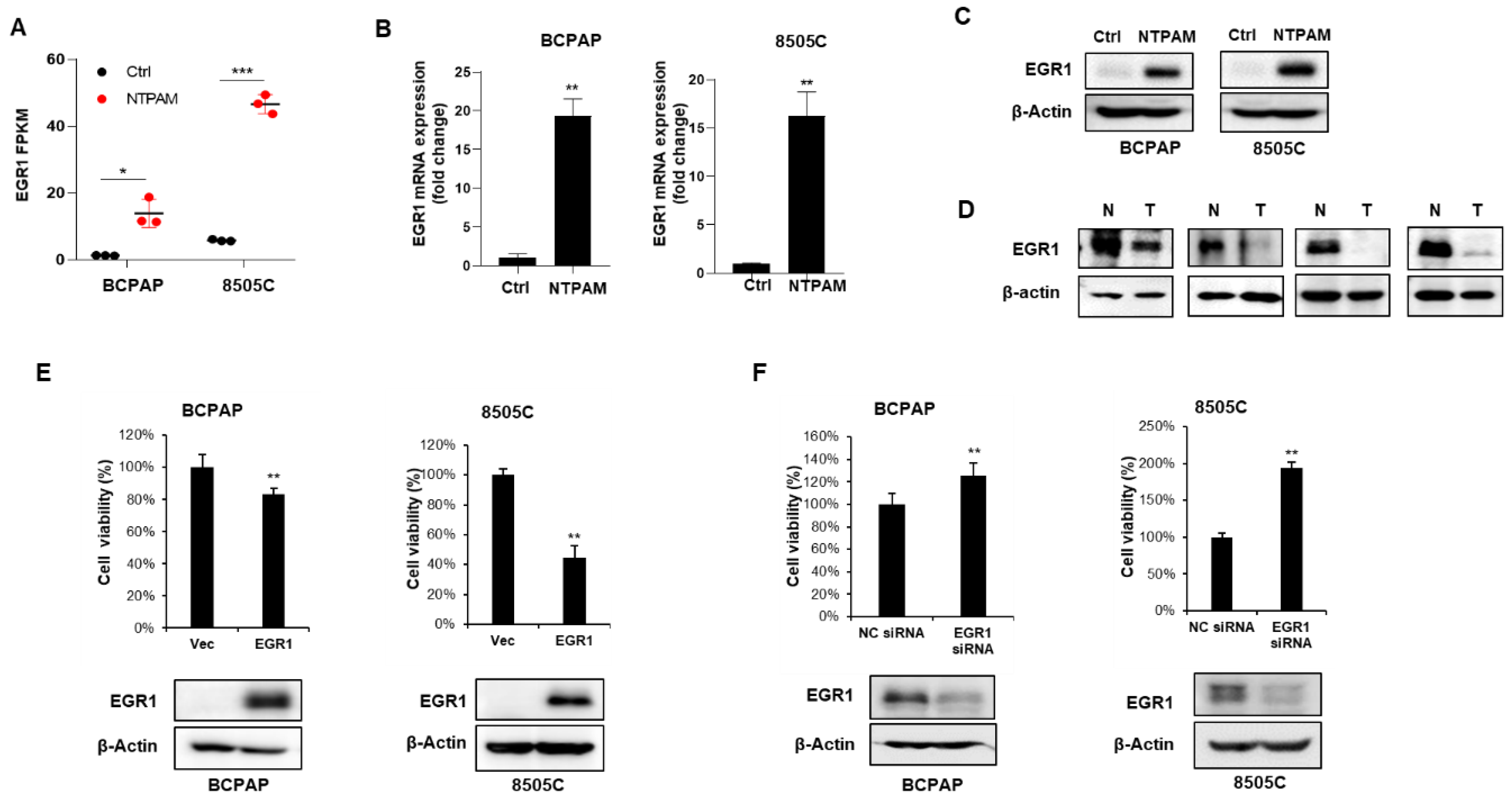 Cancers 13 00351 g004