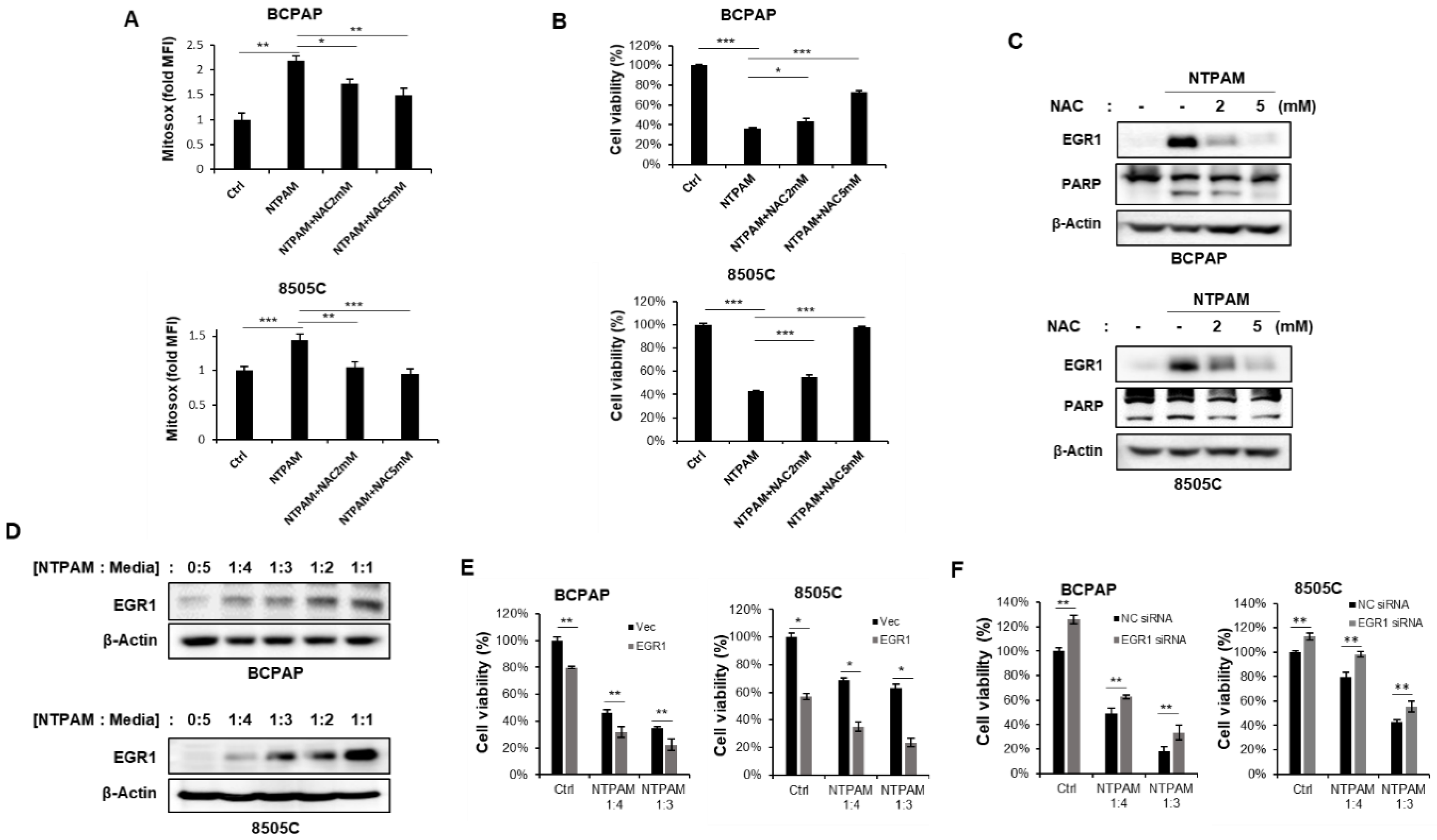 Cancers 13 00351 g005