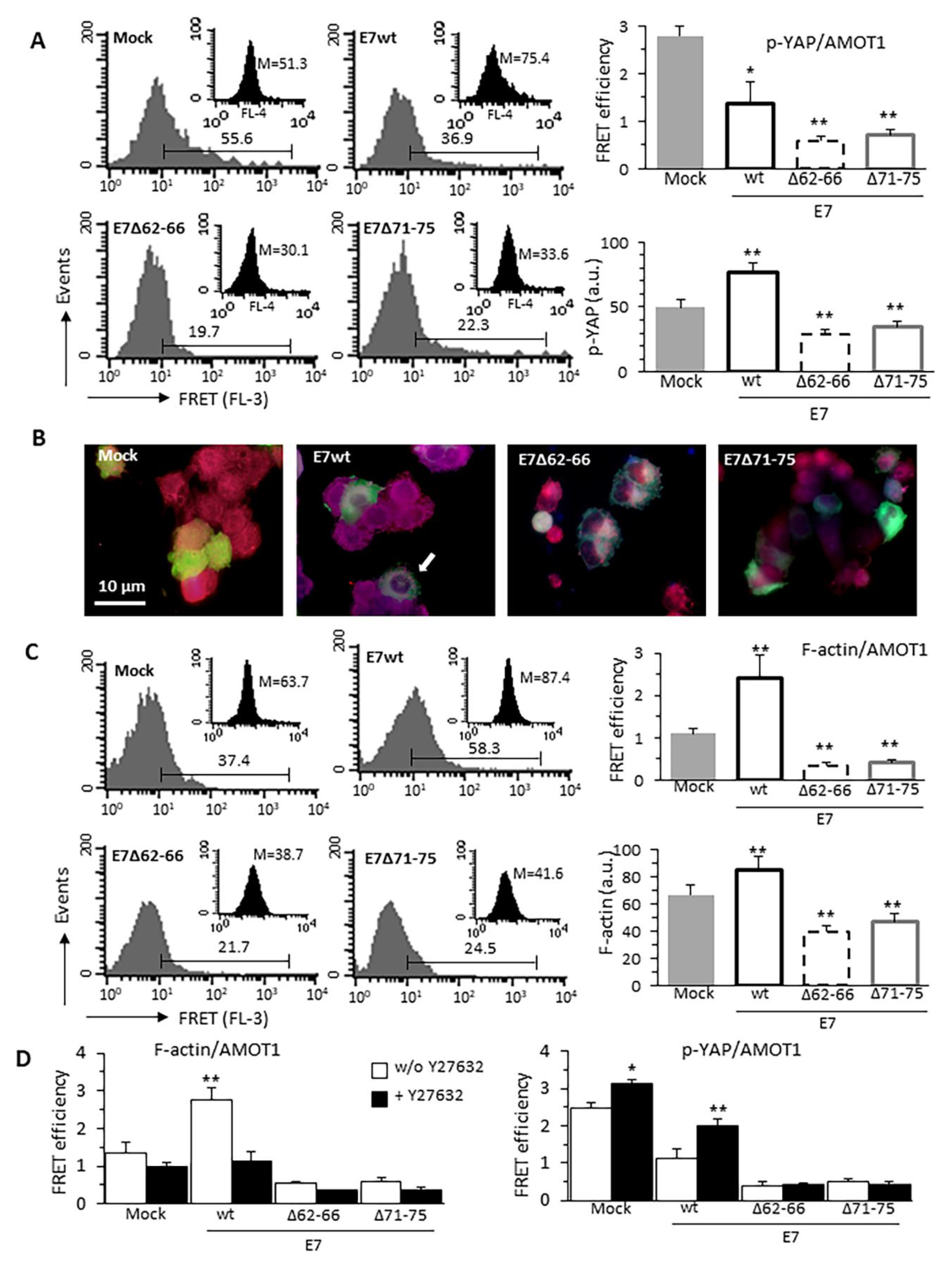 Cancers 13 00353 g005 Cancers 13 00353 g005