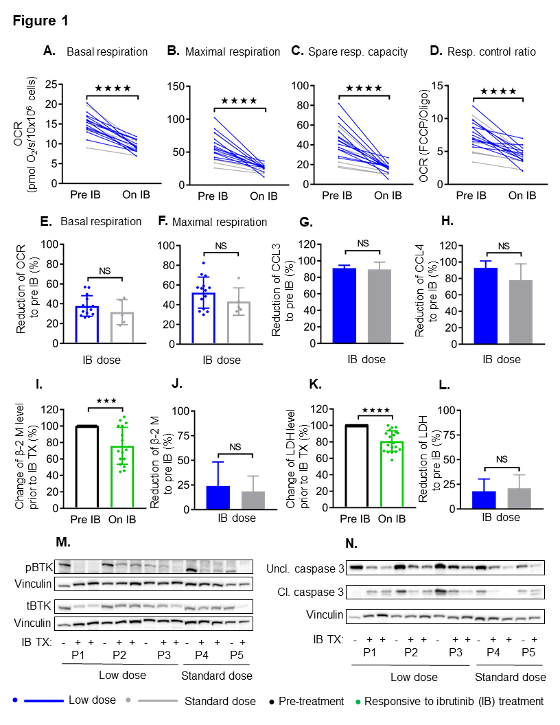 Cancers 13 00354 g001