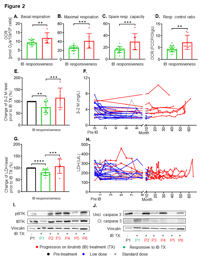 Cancers 13 00354 g002