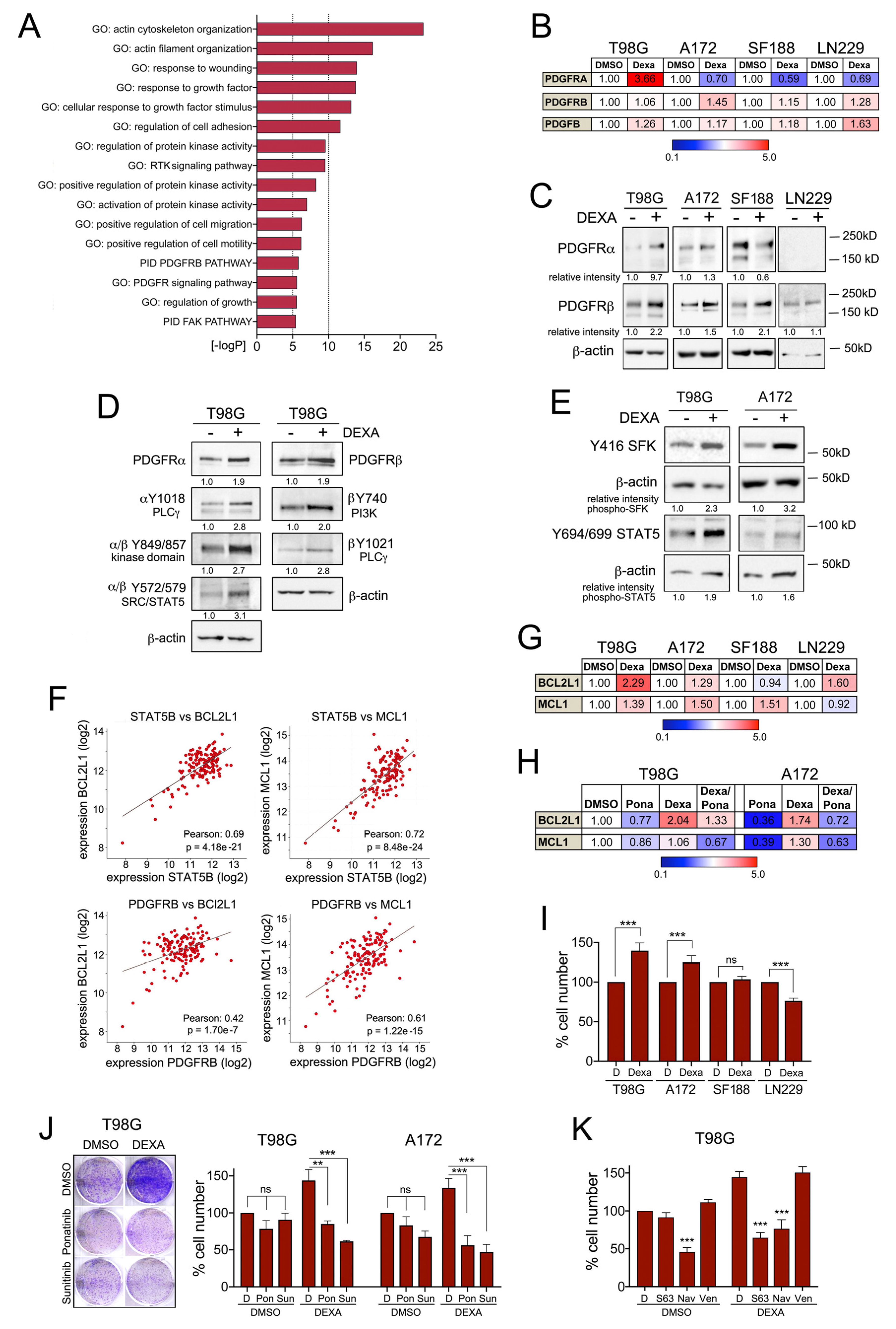 Cancers 13 00361 g003