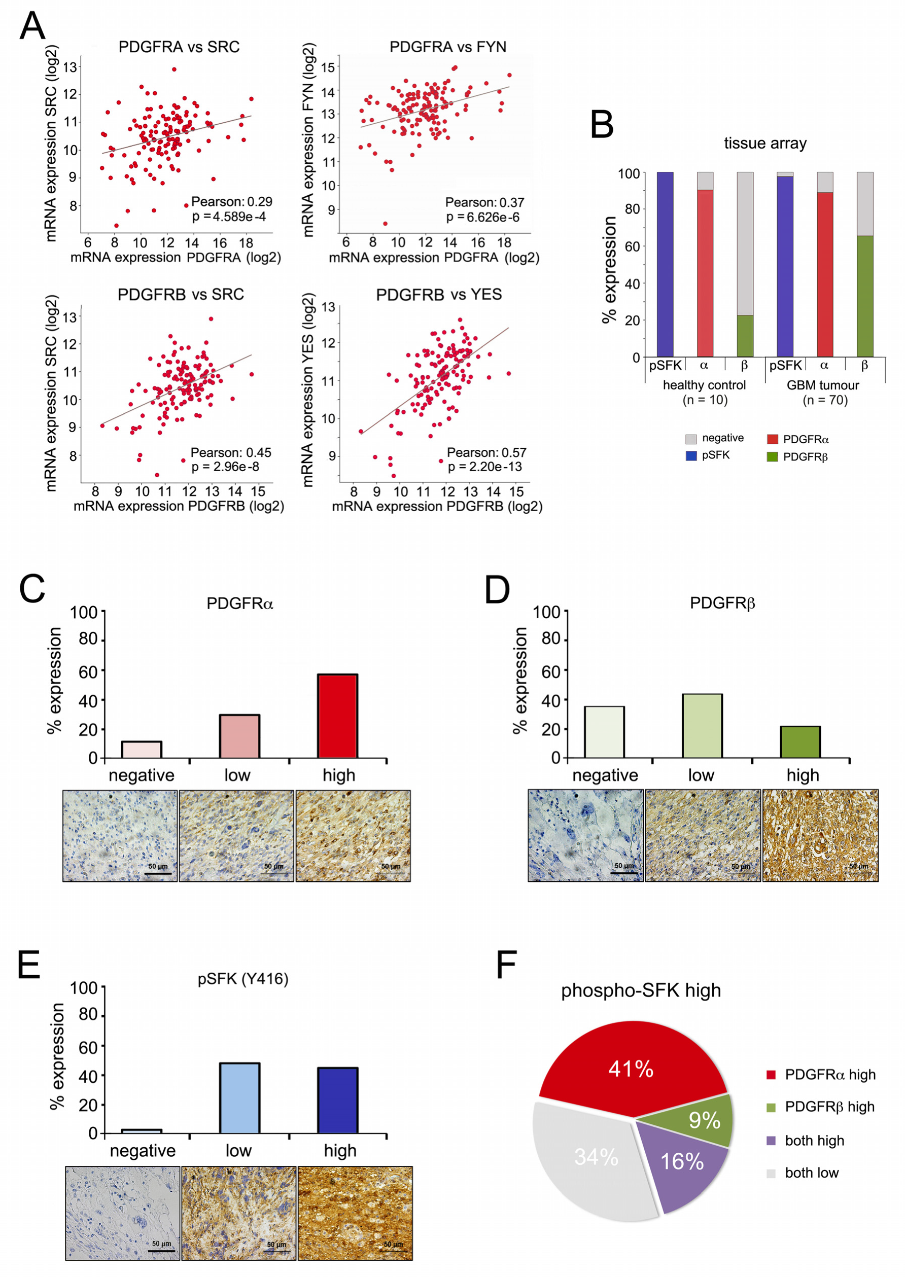 Cancers 13 00361 g004