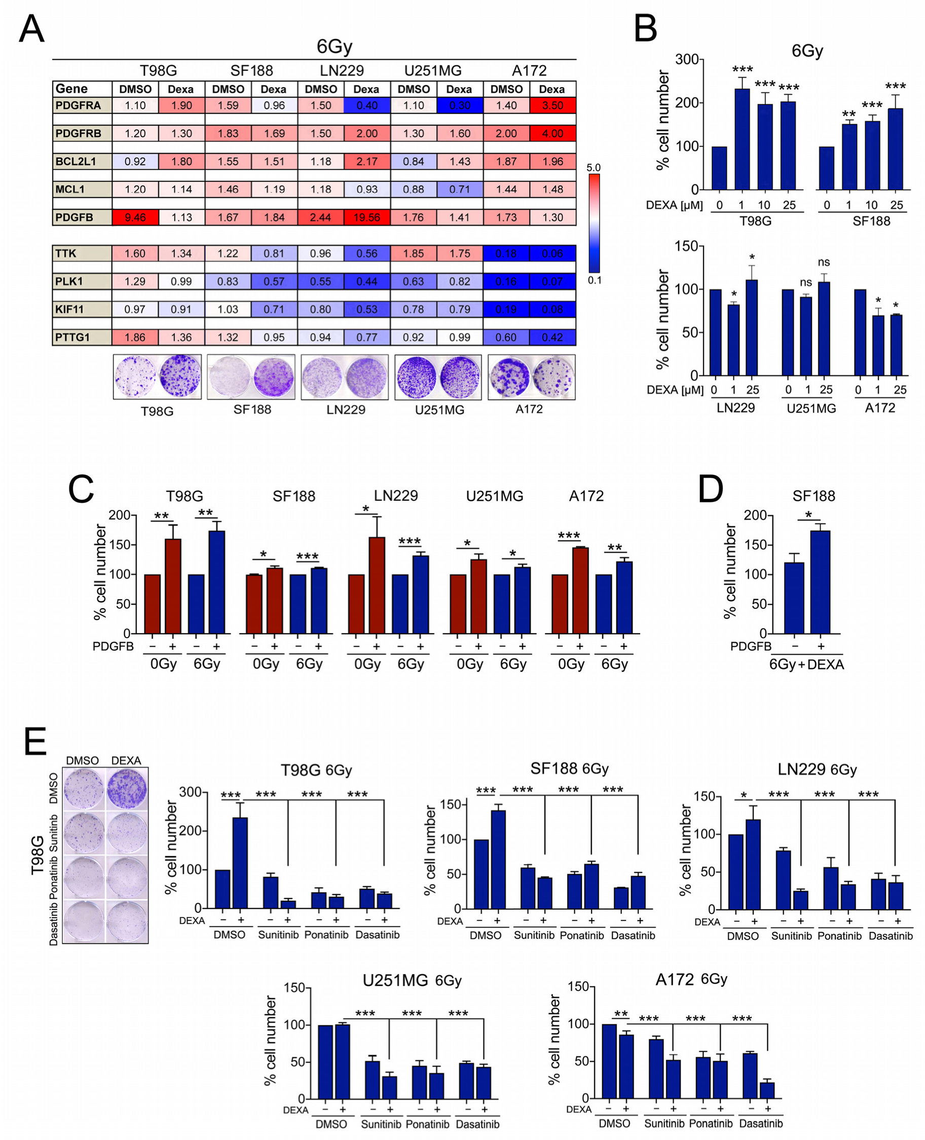 Cancers 13 00361 g005