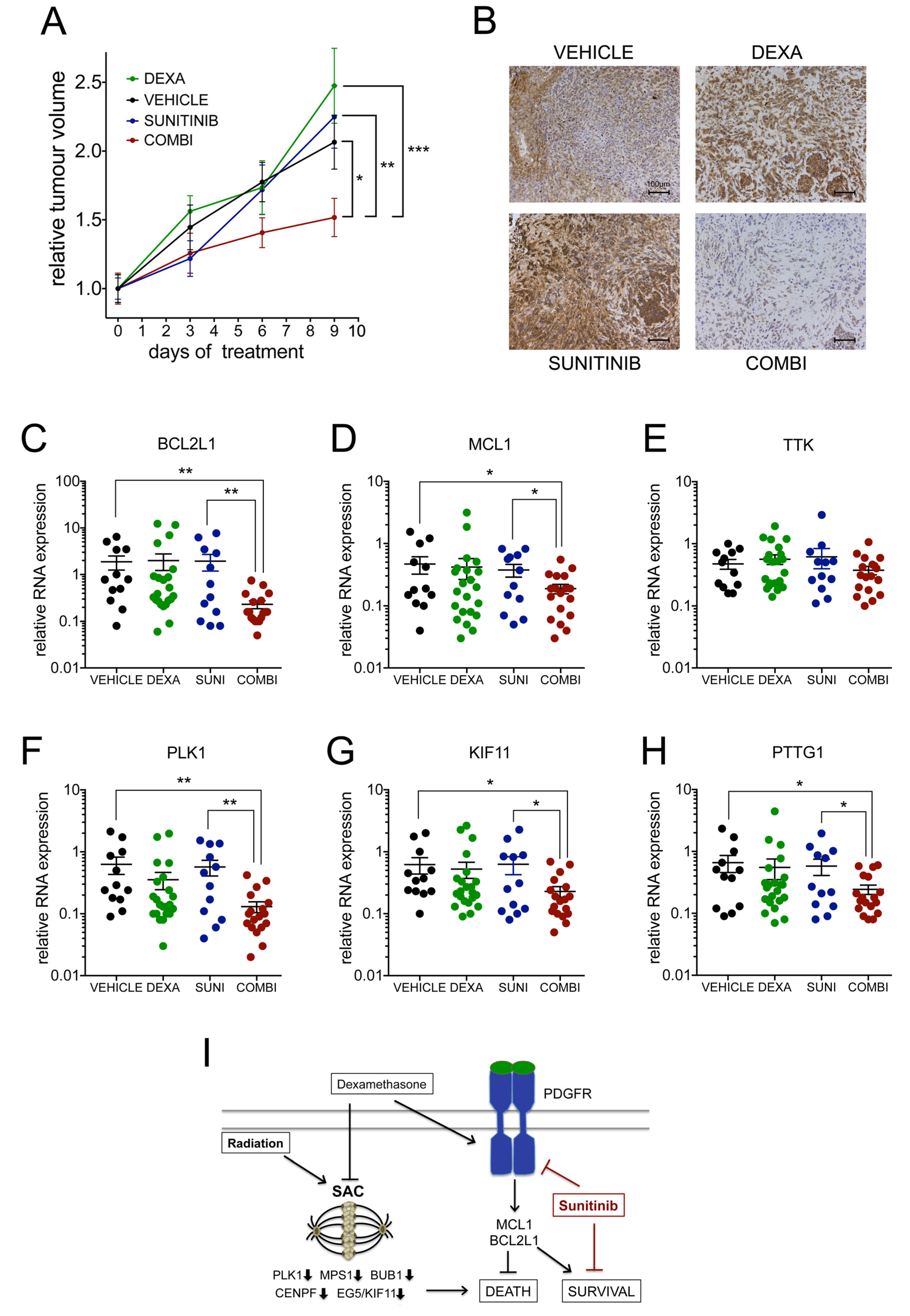 Cancers 13 00361 g007