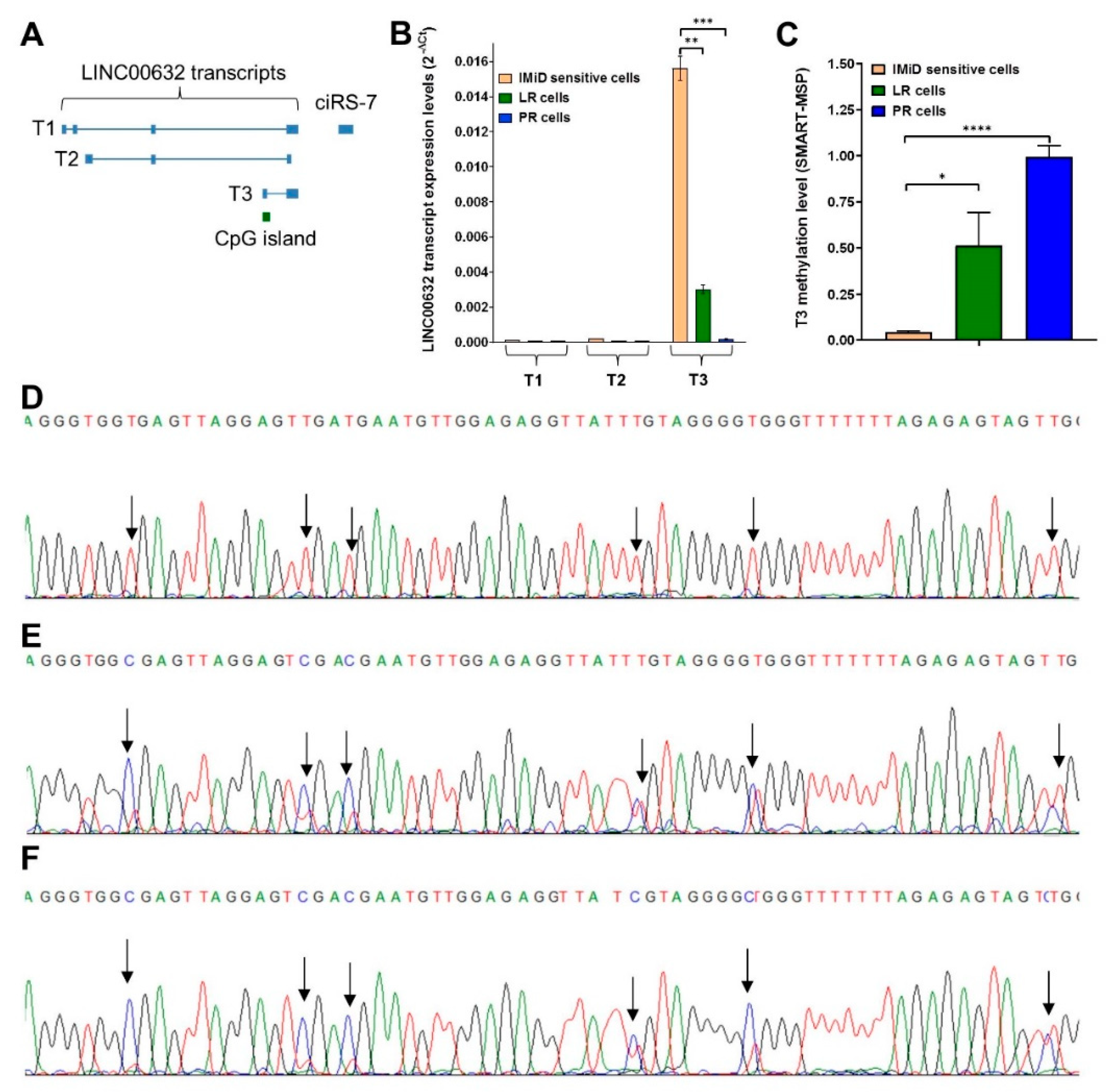 Cancers 13 00365 g005 Cancers 13 00365 g005