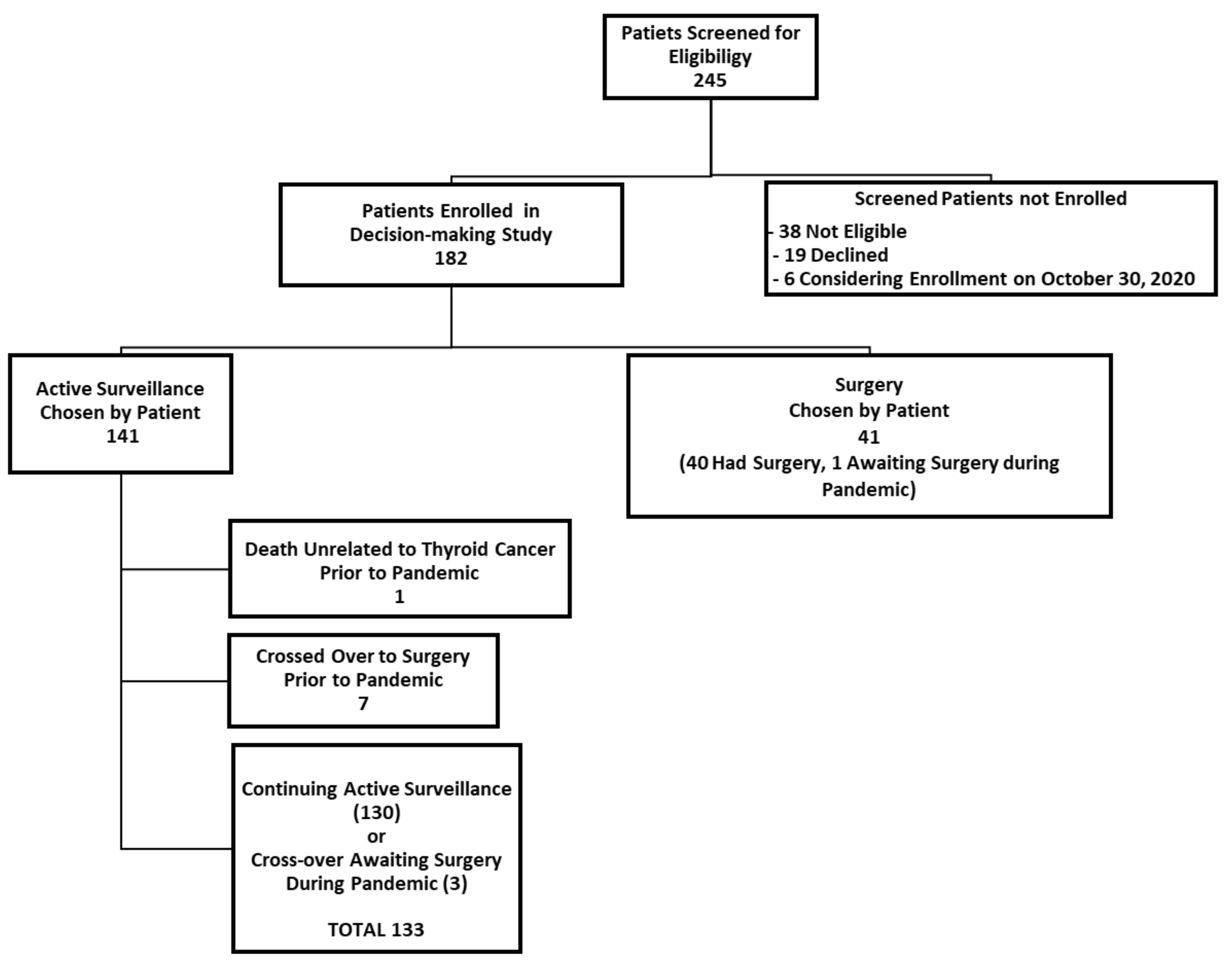 Cancers 13 00371 g001