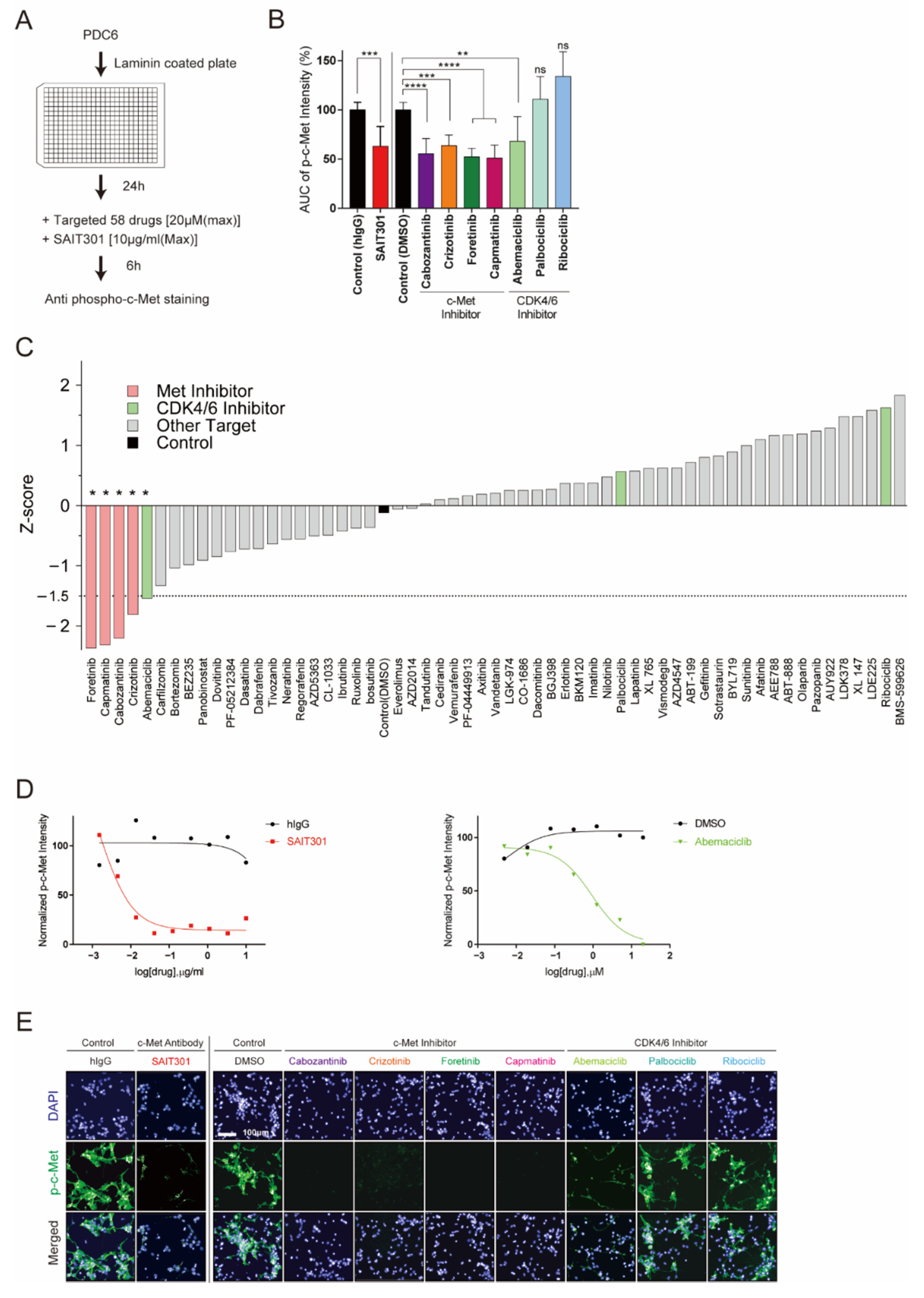 Cancers 13 00372 g003 Cancers 13 00372 g003