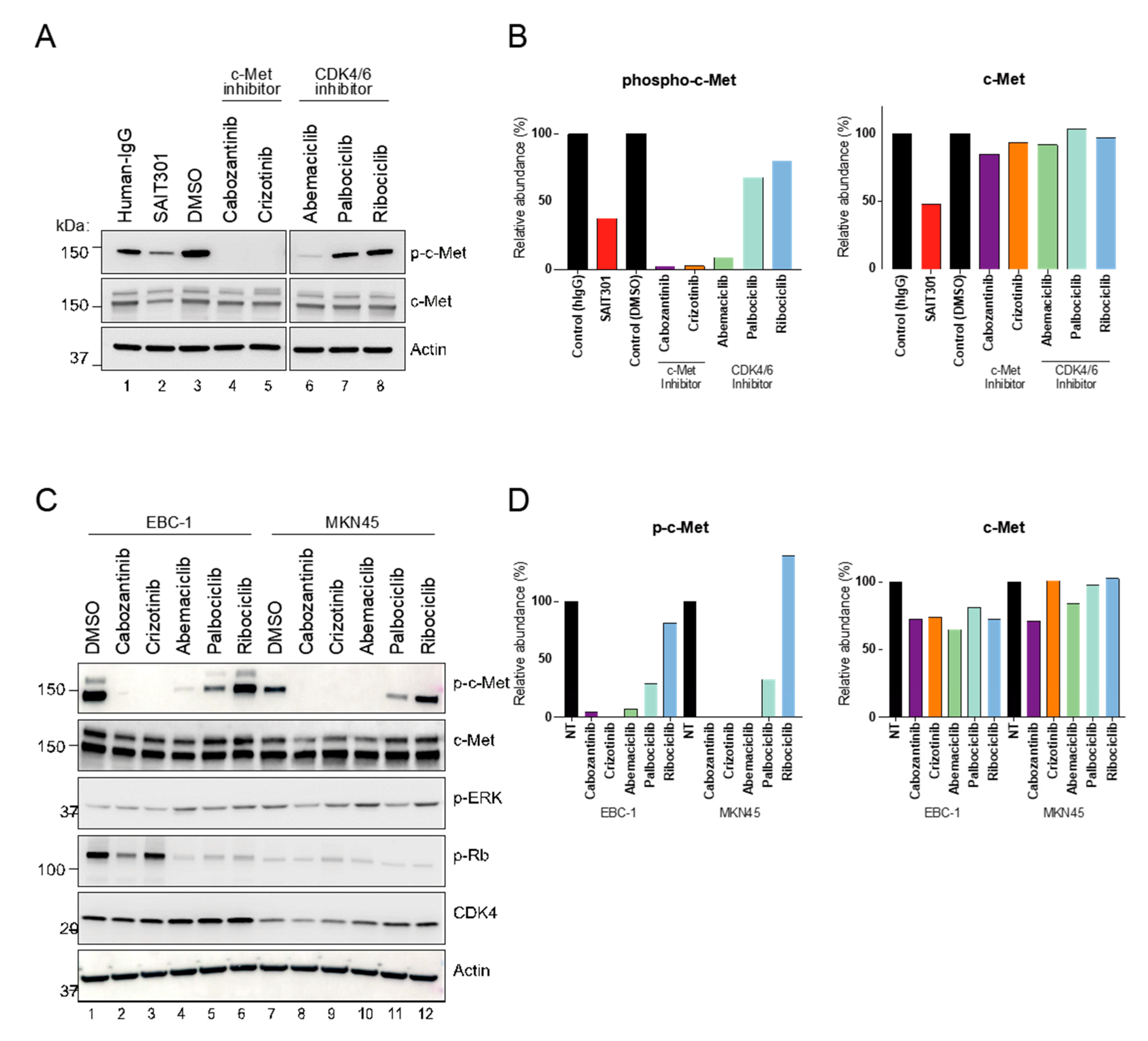Cancers 13 00372 g004 Cancers 13 00372 g004
