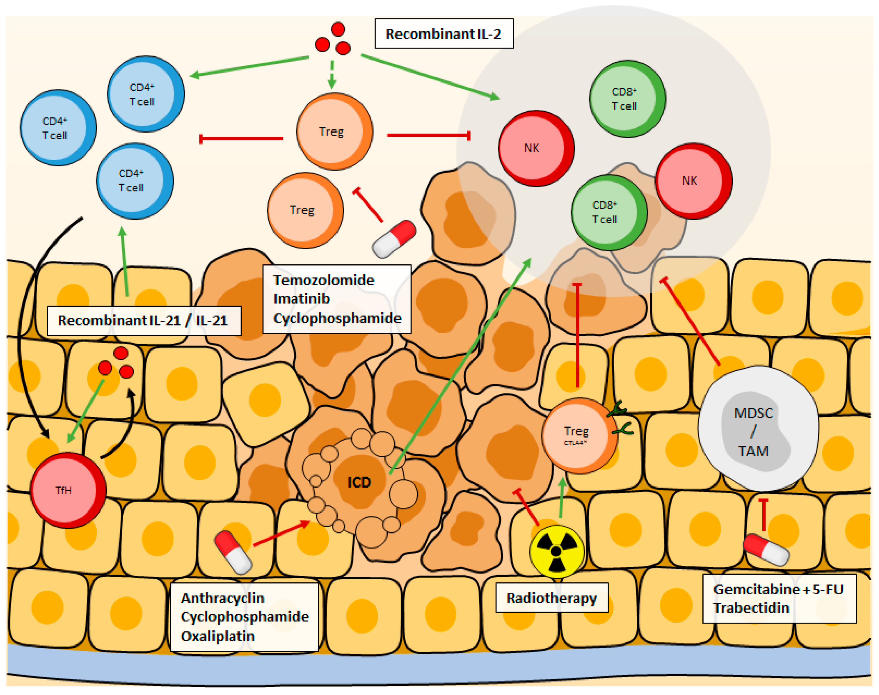 Cancers 13 00373 g002