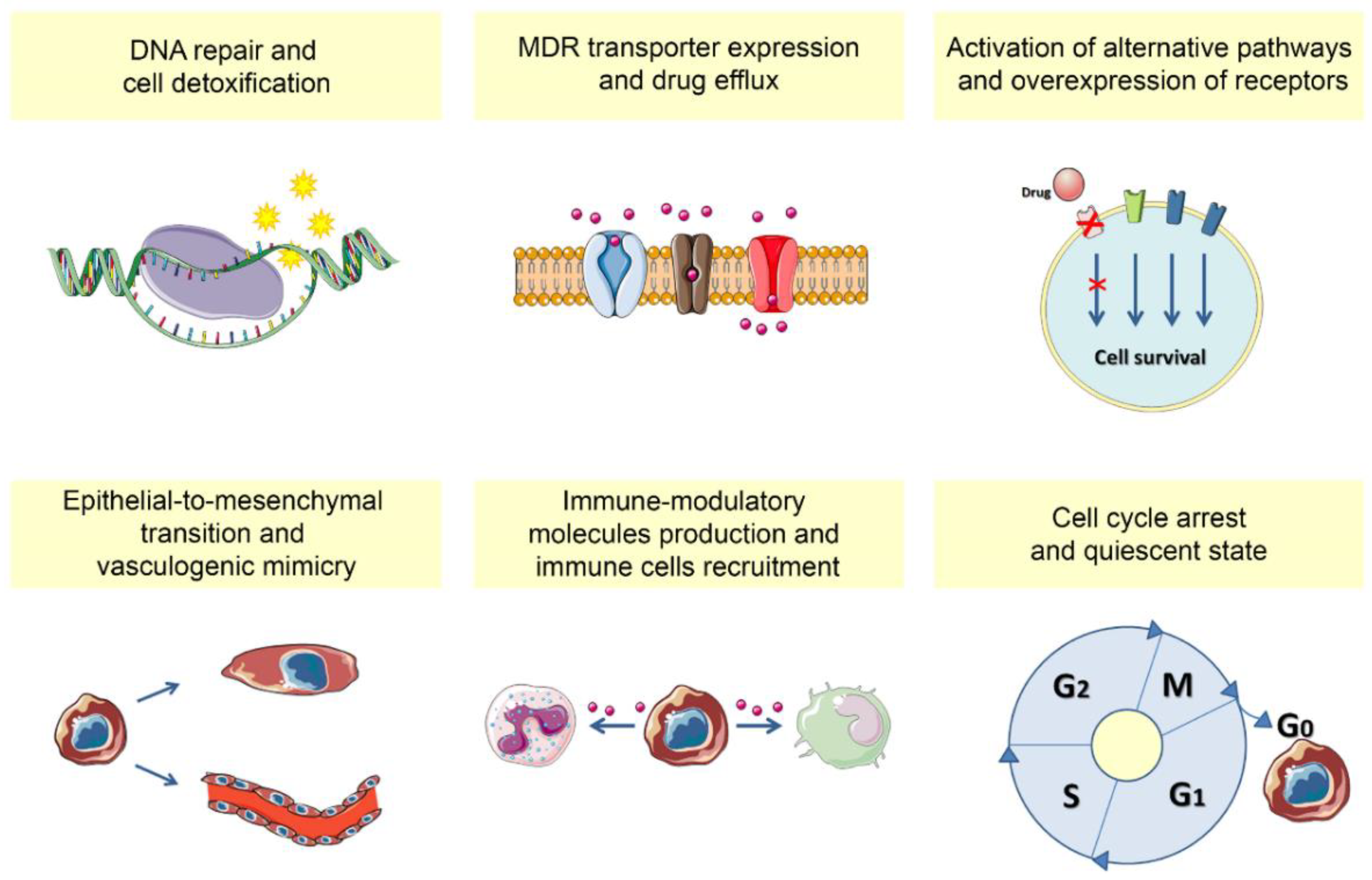 Cancers 13 00376 g001