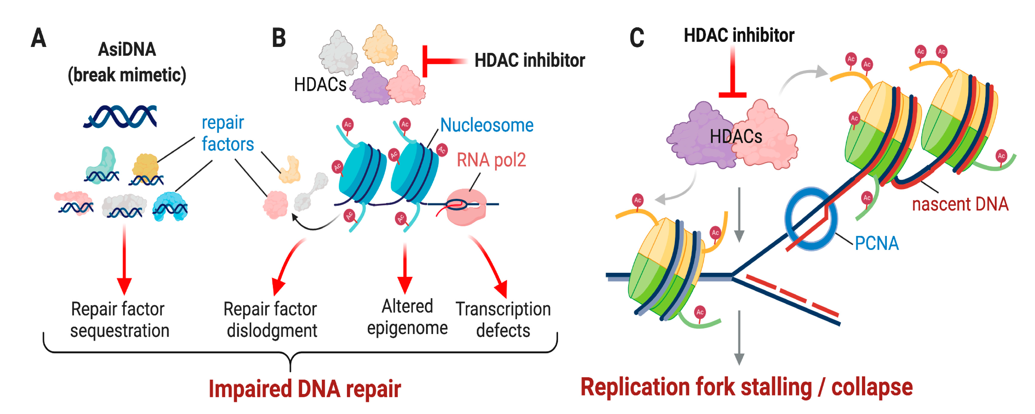 Cancers 13 00381 g001