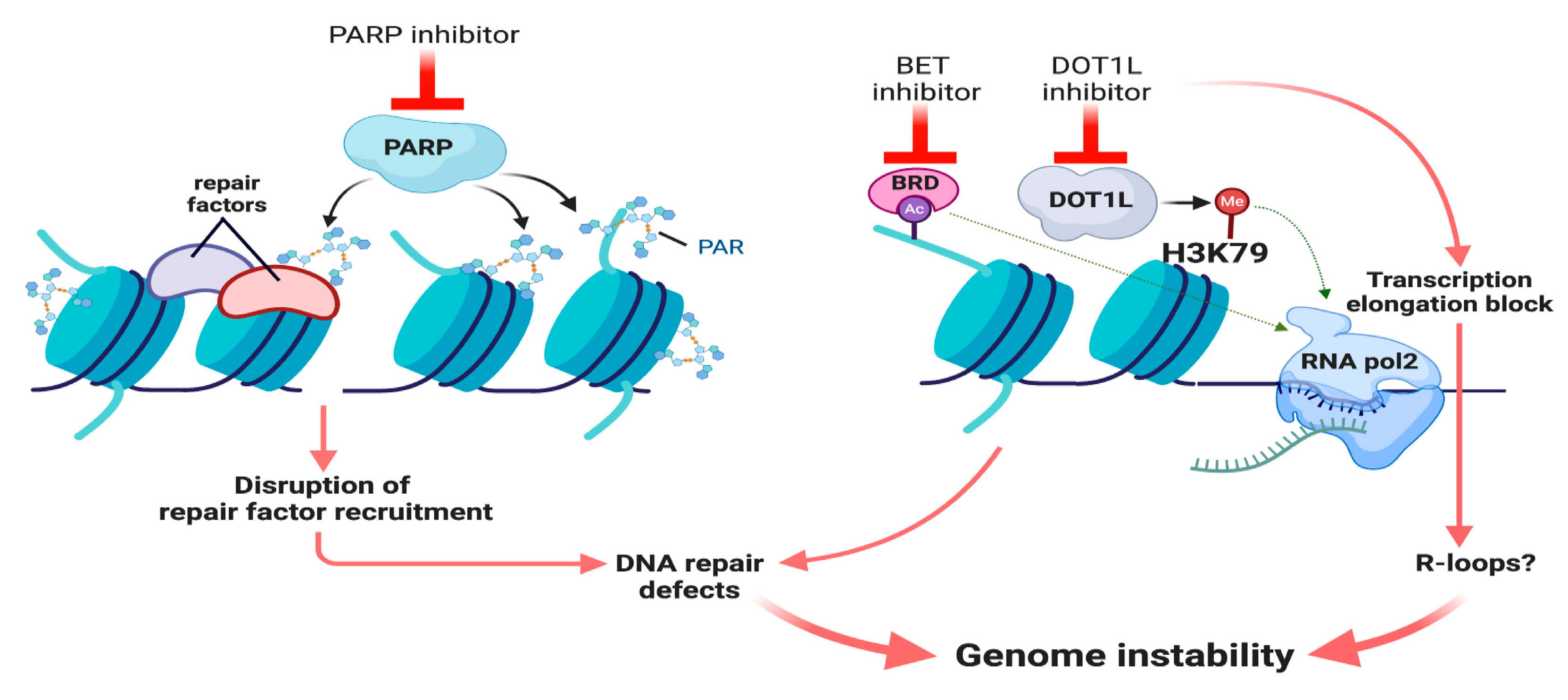 Cancers 13 00381 g002