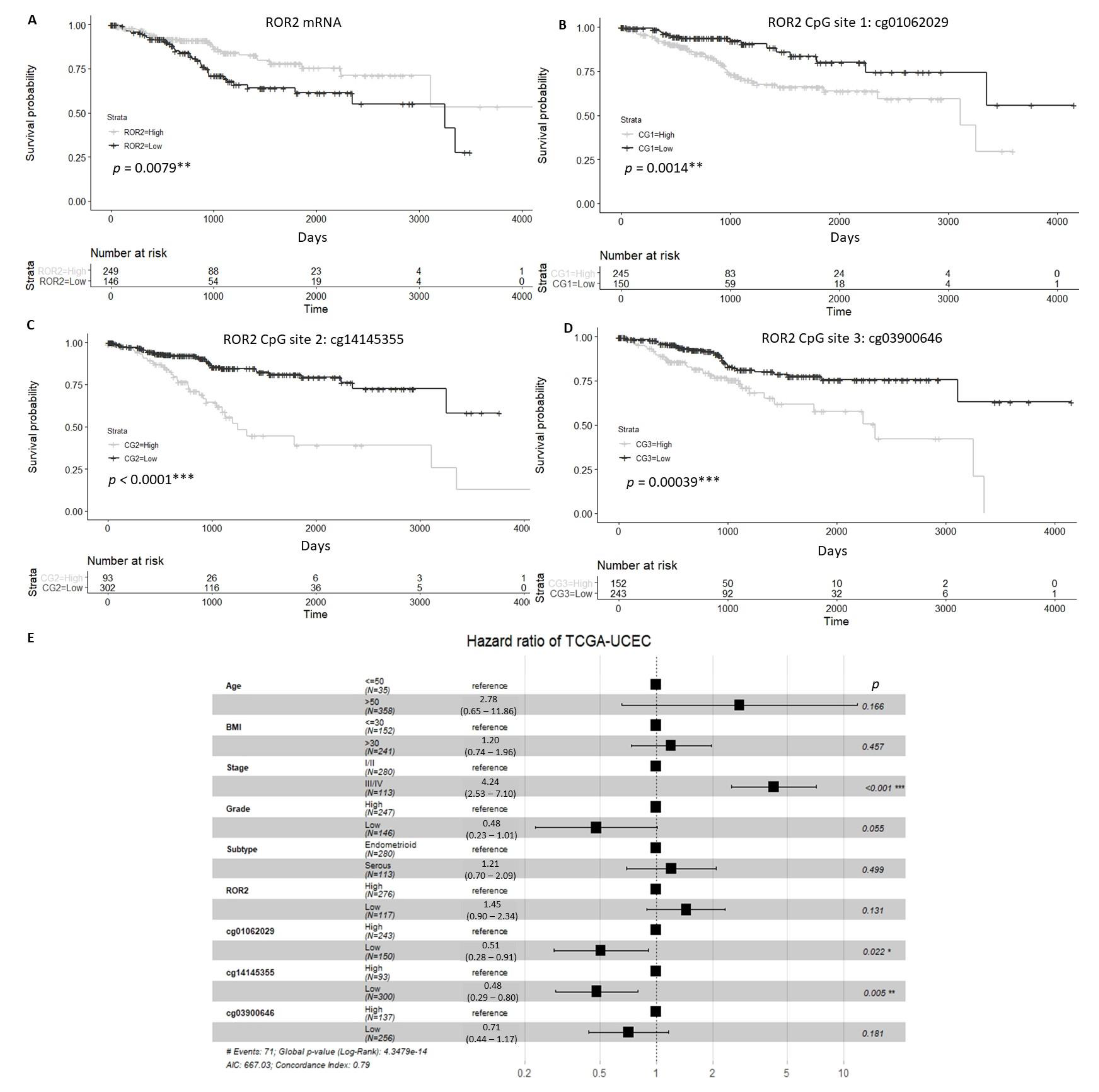 Cancers 13 00383 g001